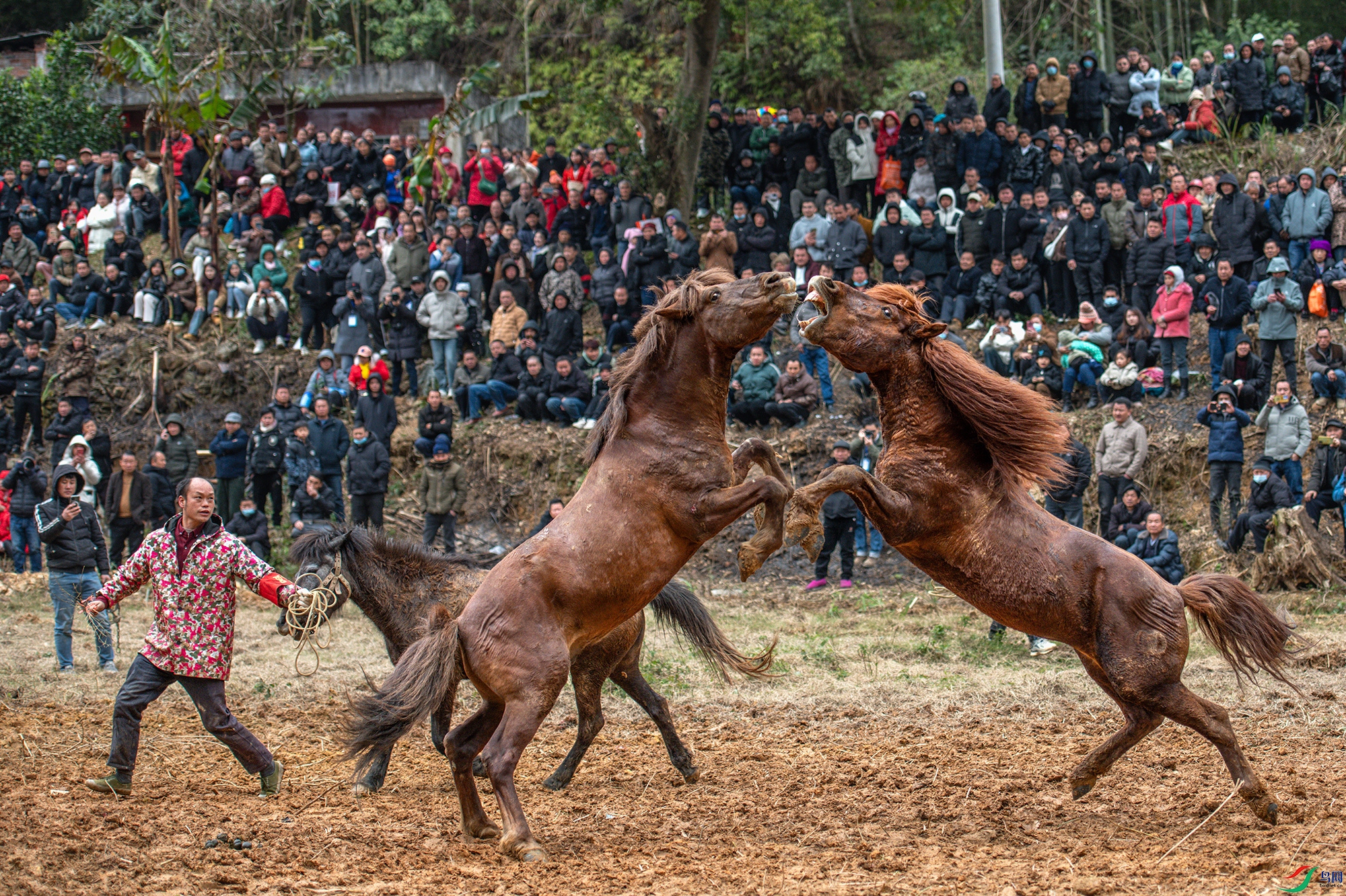 DSC_6789 ����aa ����.jpg