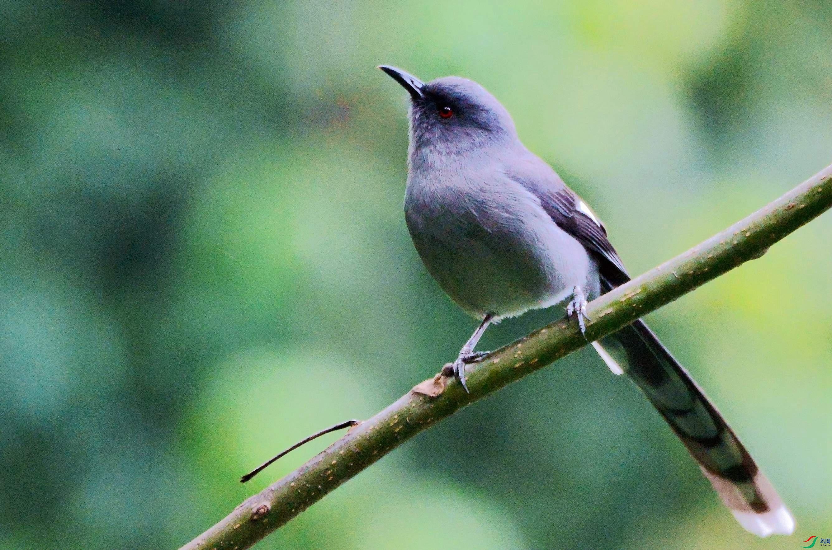 DSC_9157.JPG