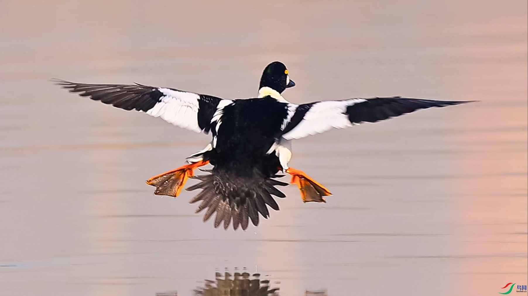 ���ɾ���ȵѼ-���� ����.jpg