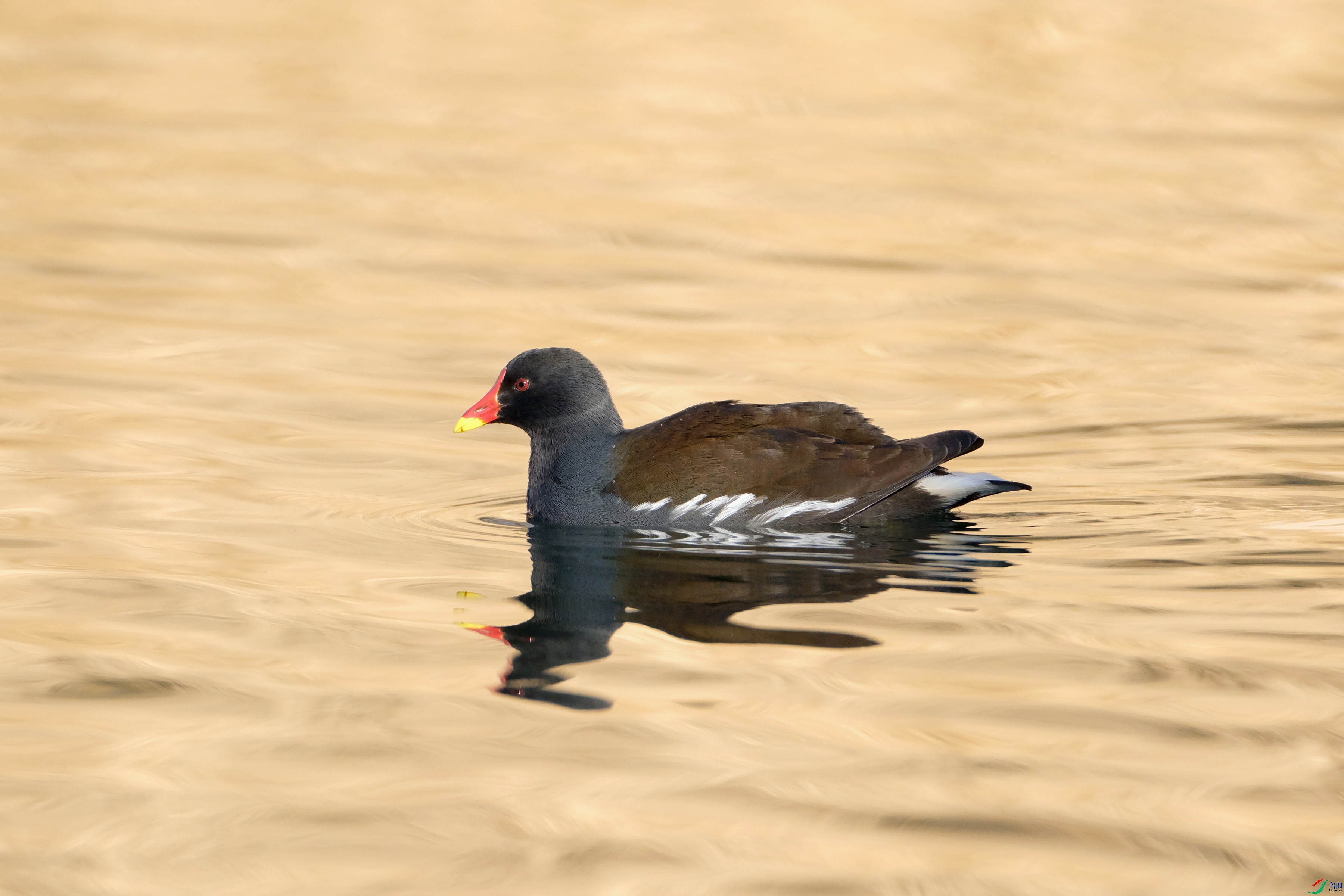 DSCF1035.JPG