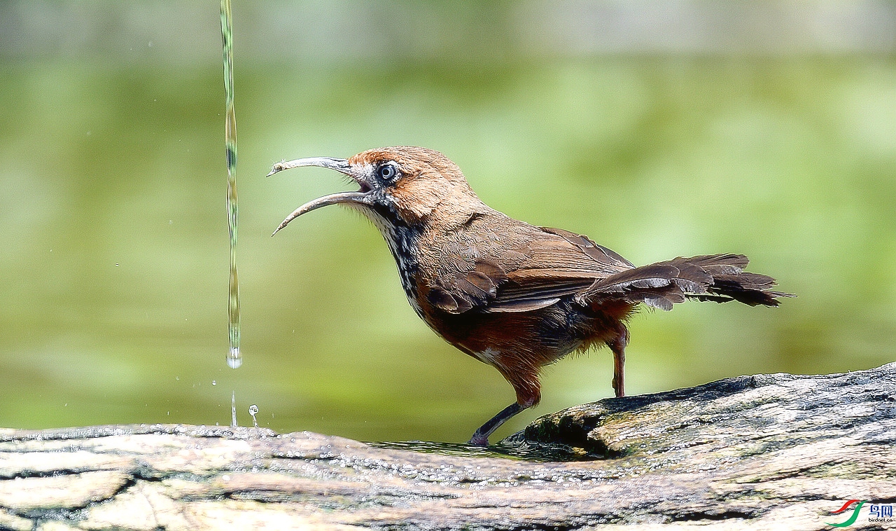 ABW_0725.jpg