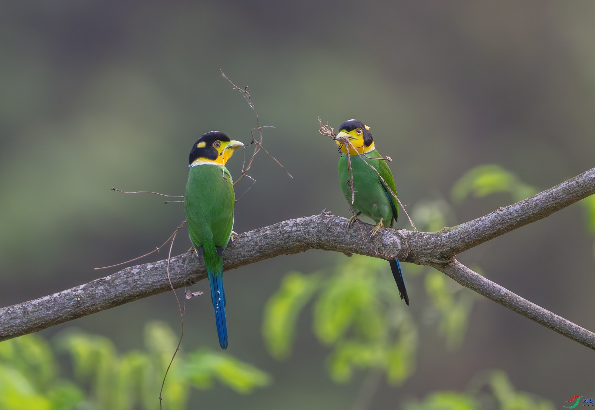 DSC_8231-1.jpg