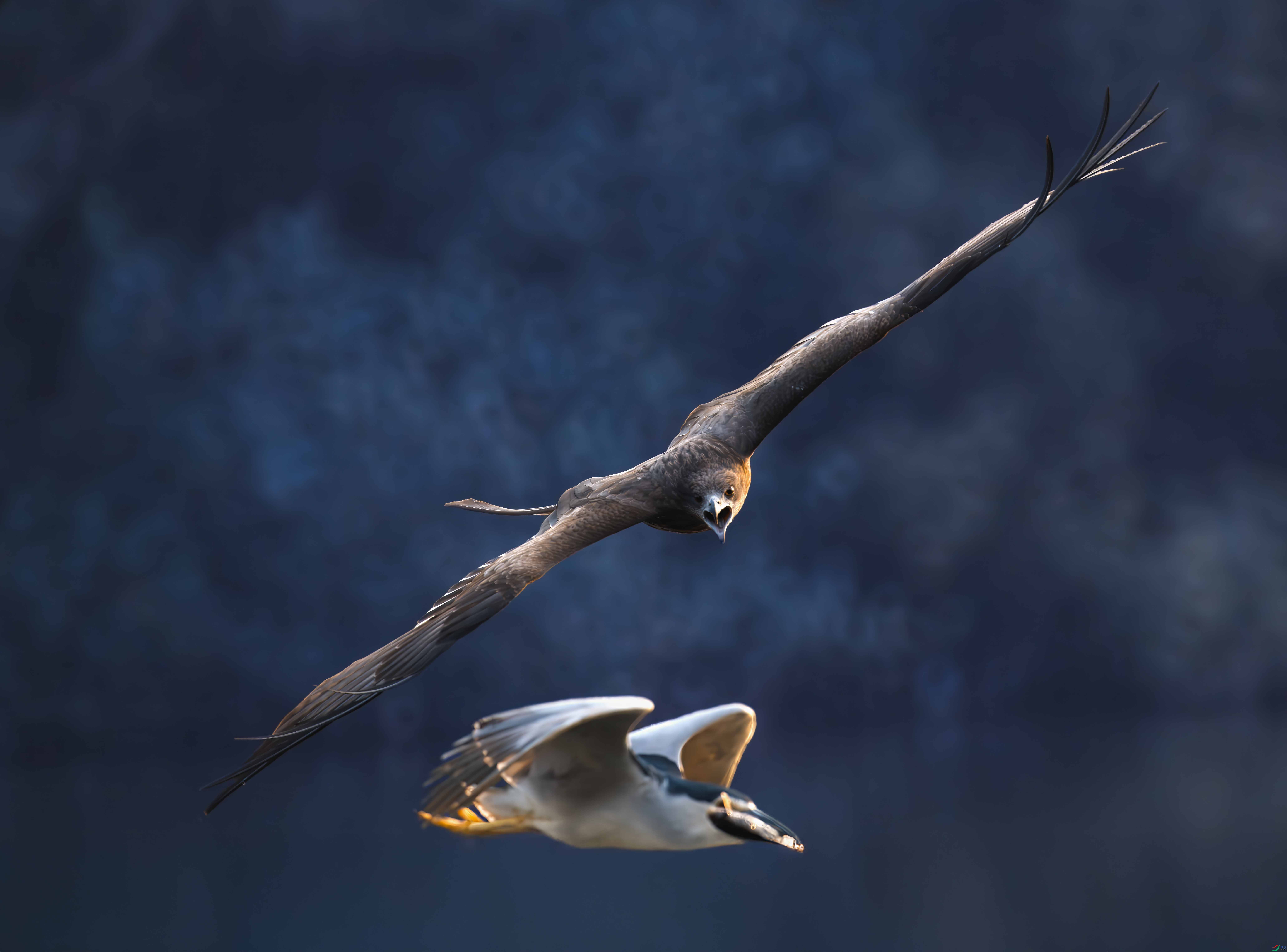 DSC_0388-����ǿ-NR ����.jpg