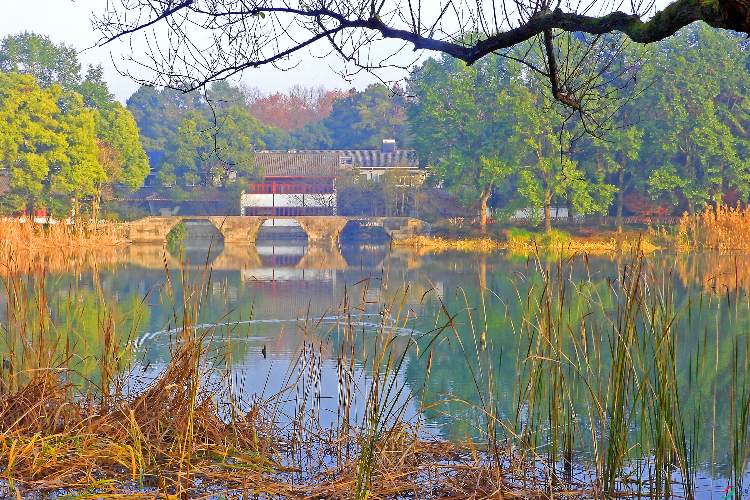 DSCN5157.JPG
