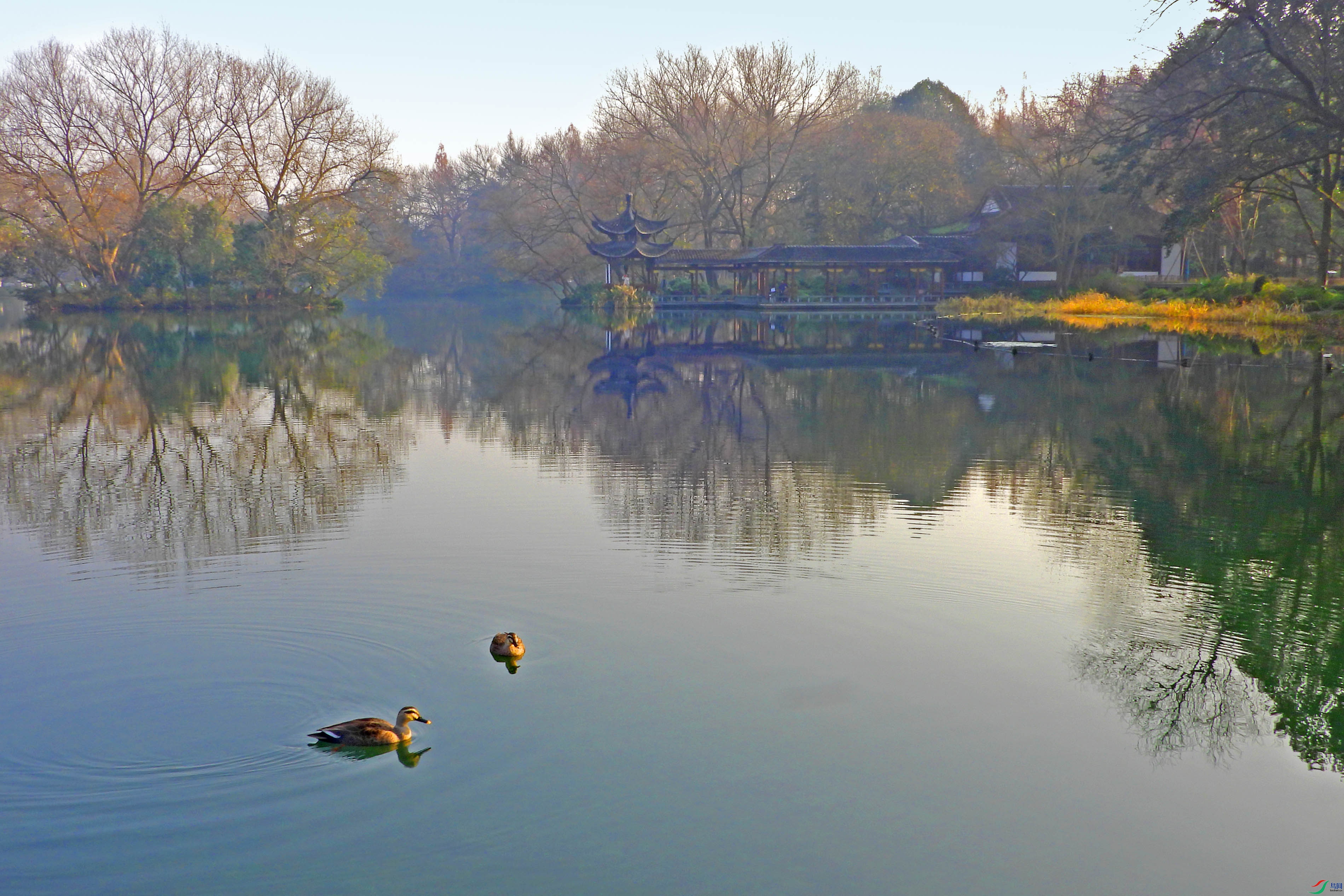 DSCN5170.JPG