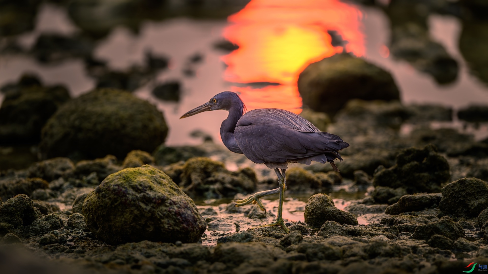 4_XXL5902-����ǿ-NR ����.jpeg