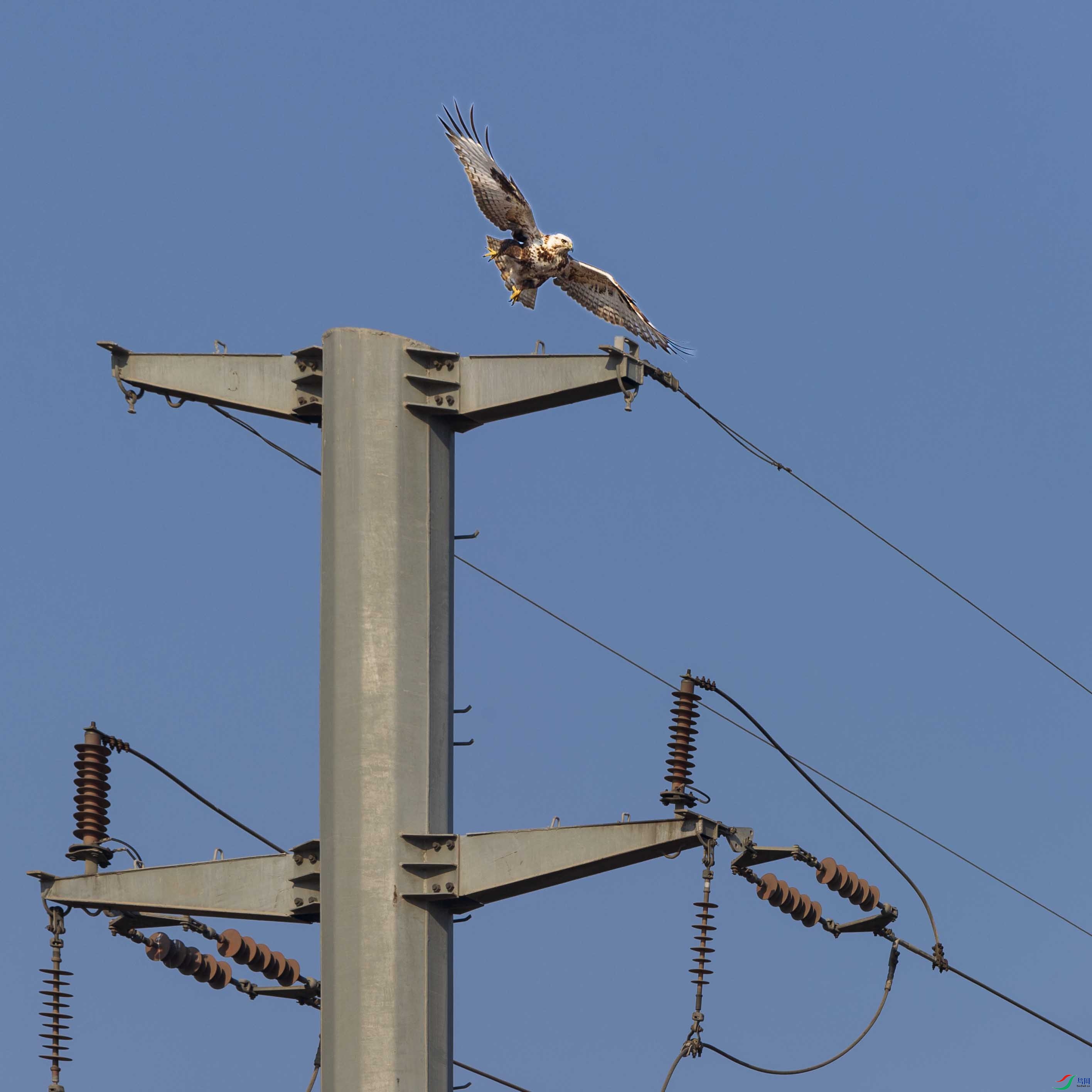 DSC_7146 ����.jpg