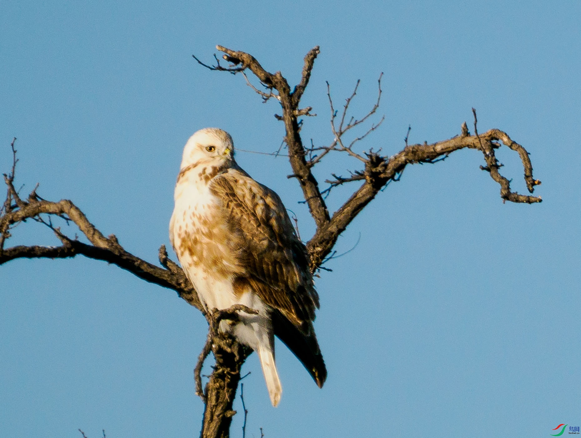 P1030231 ---�׽�