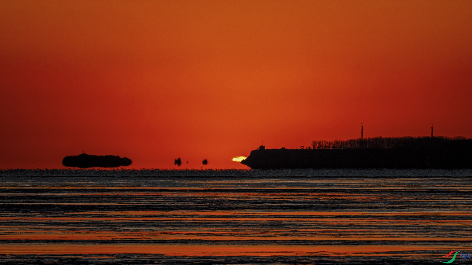 _5LM2515a.jpg