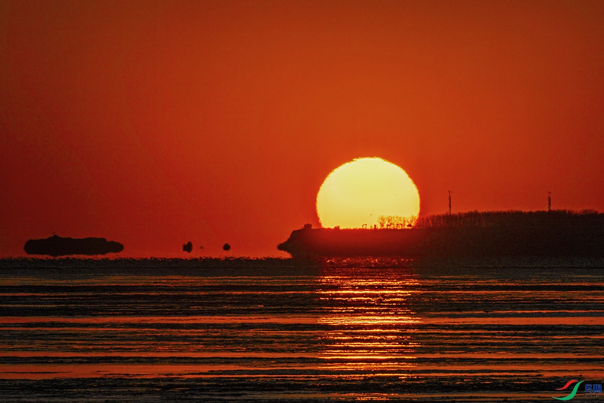 _5LM2603a.jpg
