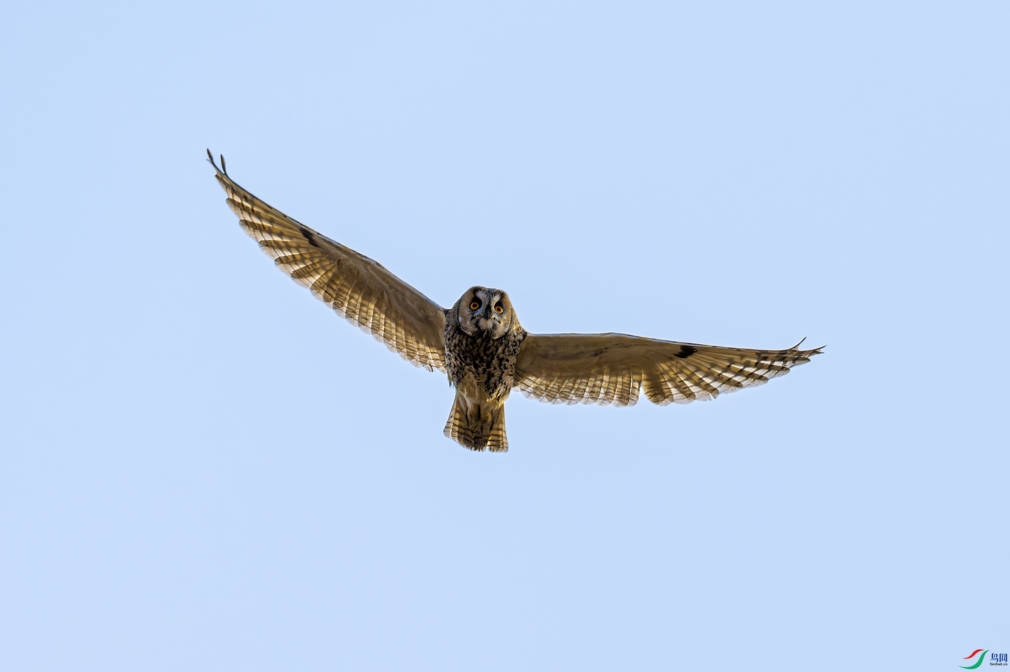 _DSC4032bb.jpg