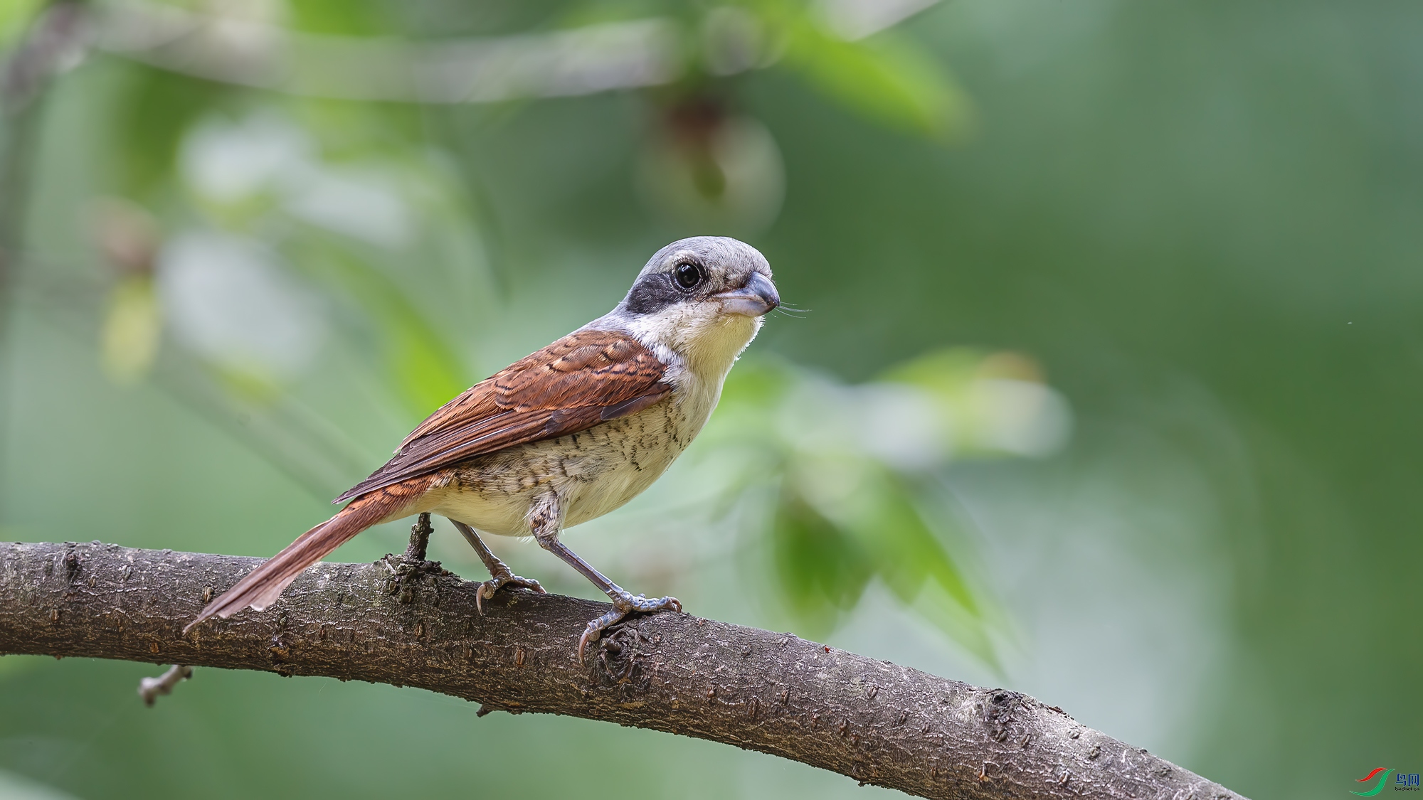 BJ1R7356-1.jpg