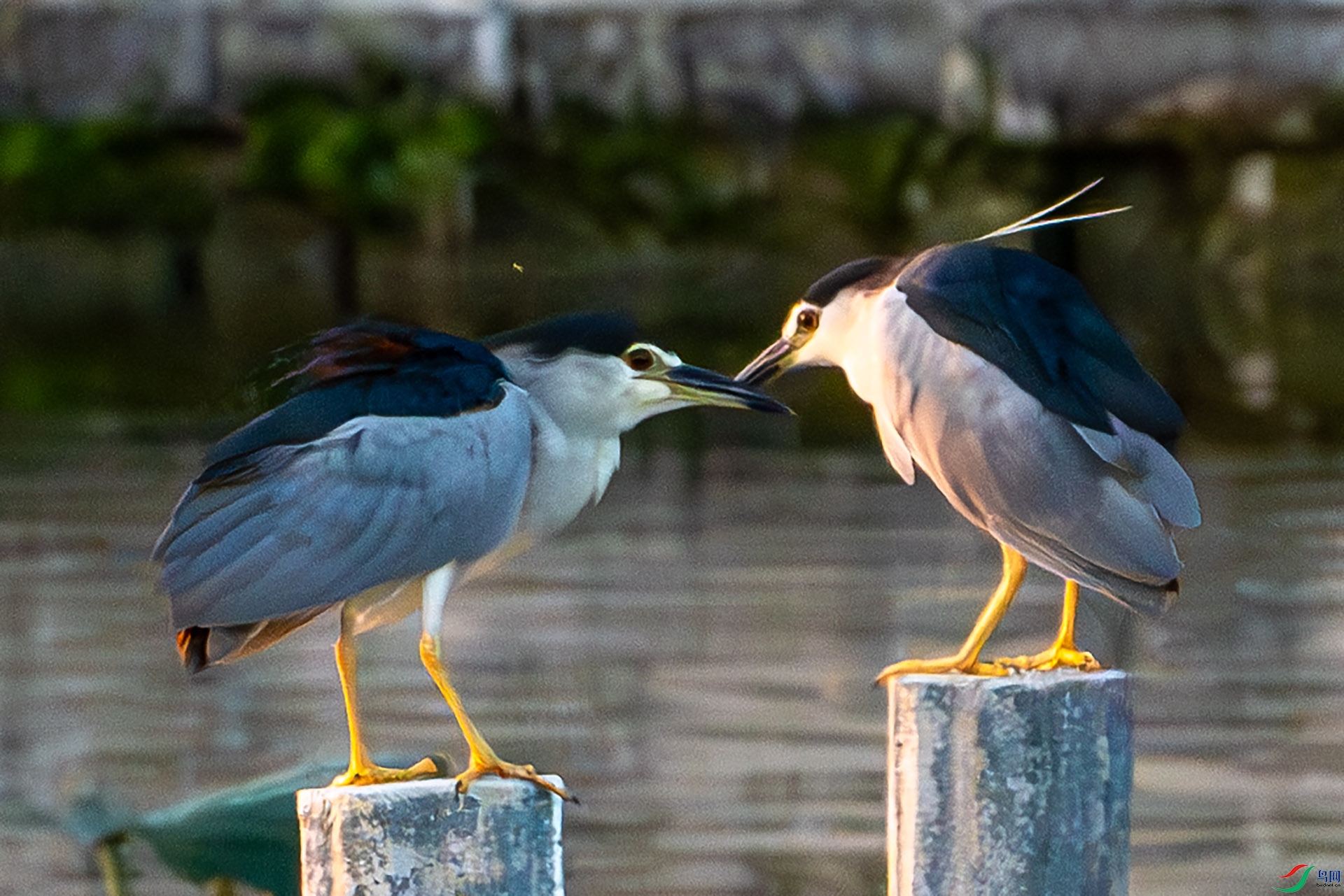 DSC06149-����ǿ-NR ����.jpg