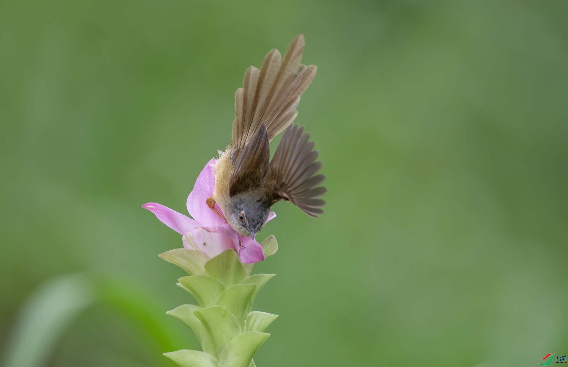 DSC_0740.jpg