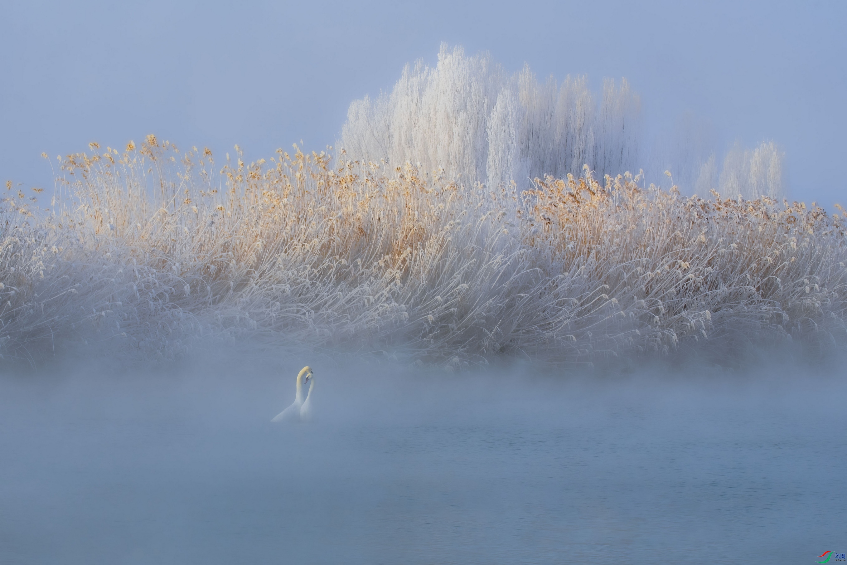 DSC_5829 ����F001.jpg