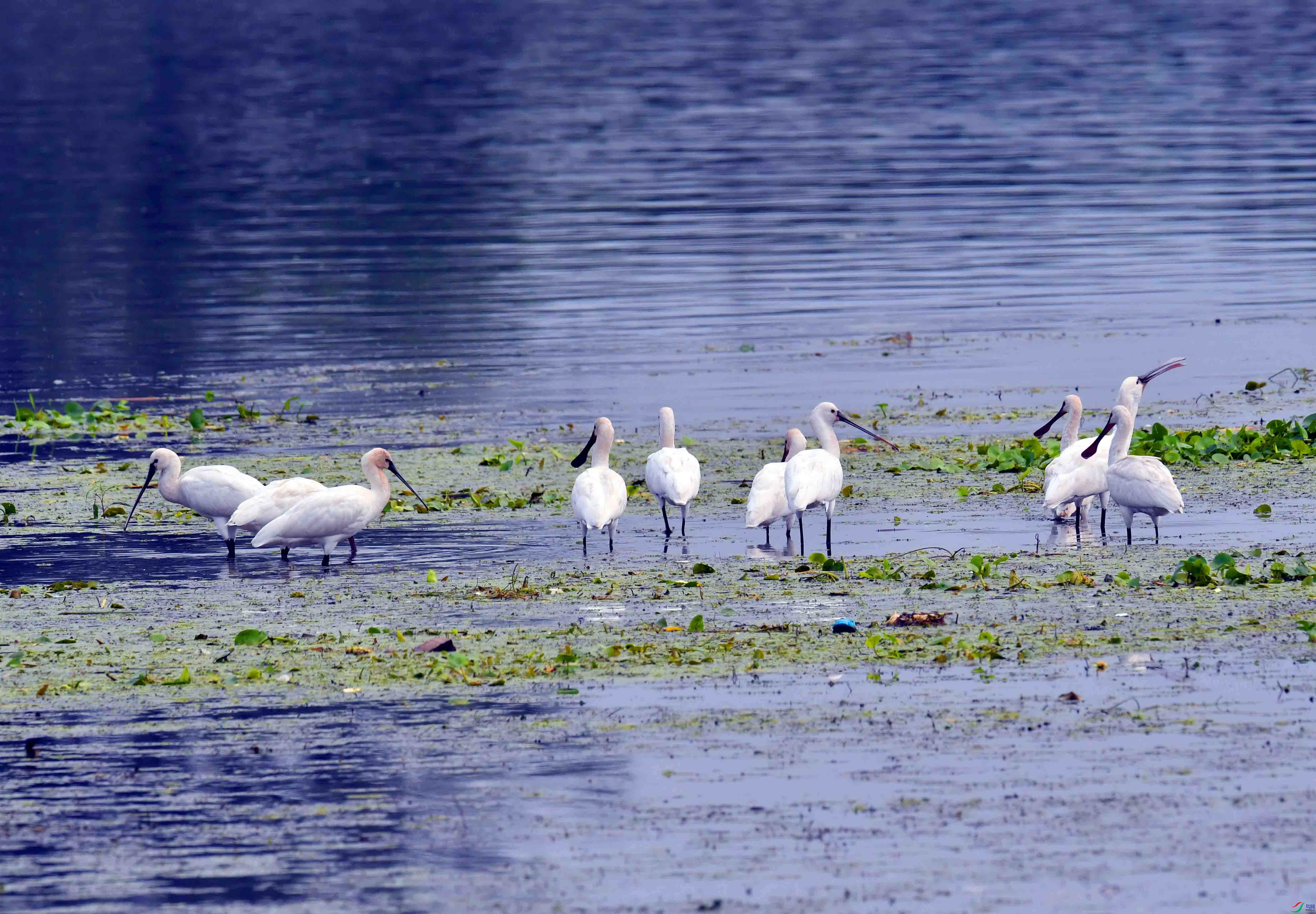 DSC_8292.JPG