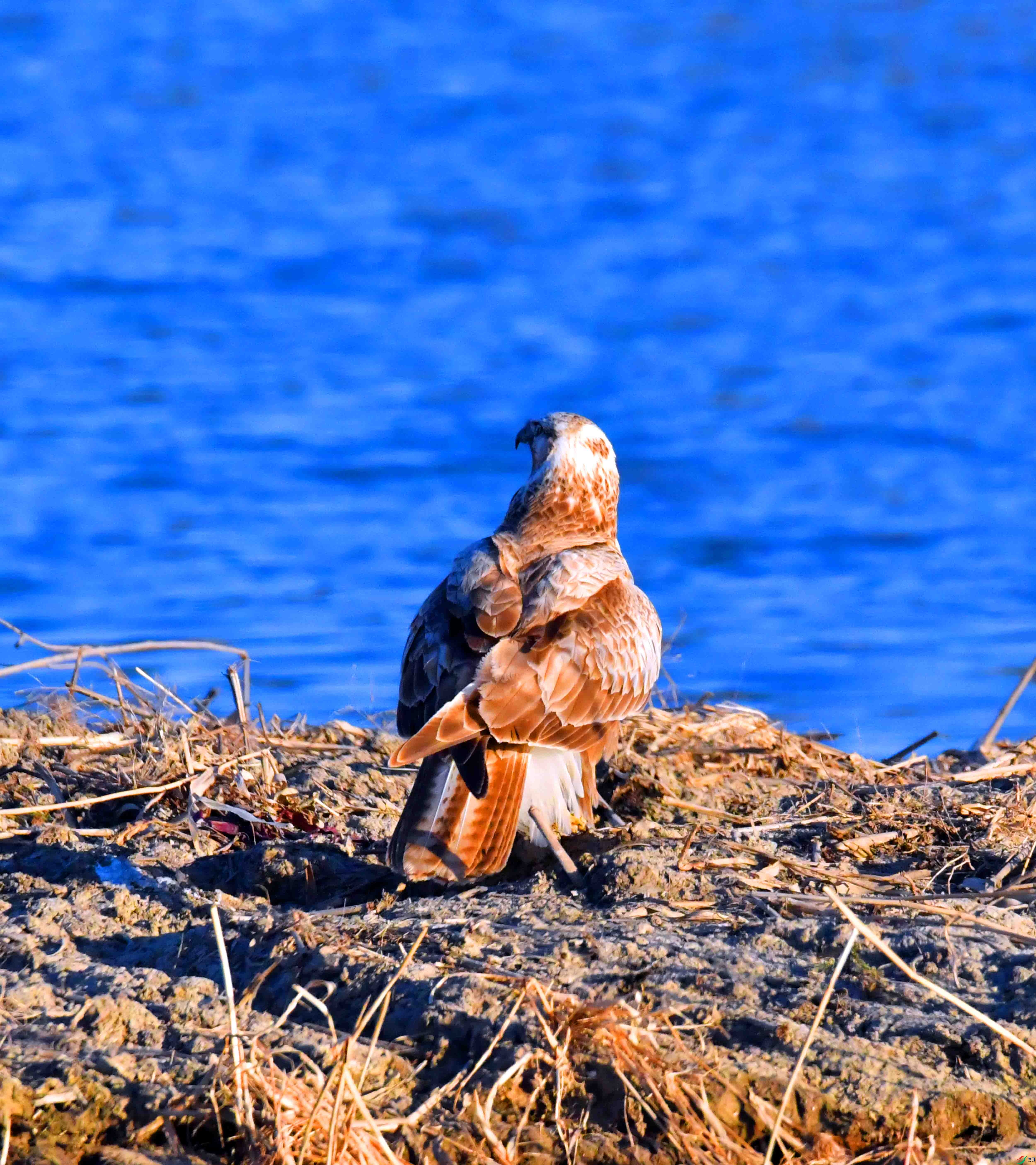 DSC_0183.JPG