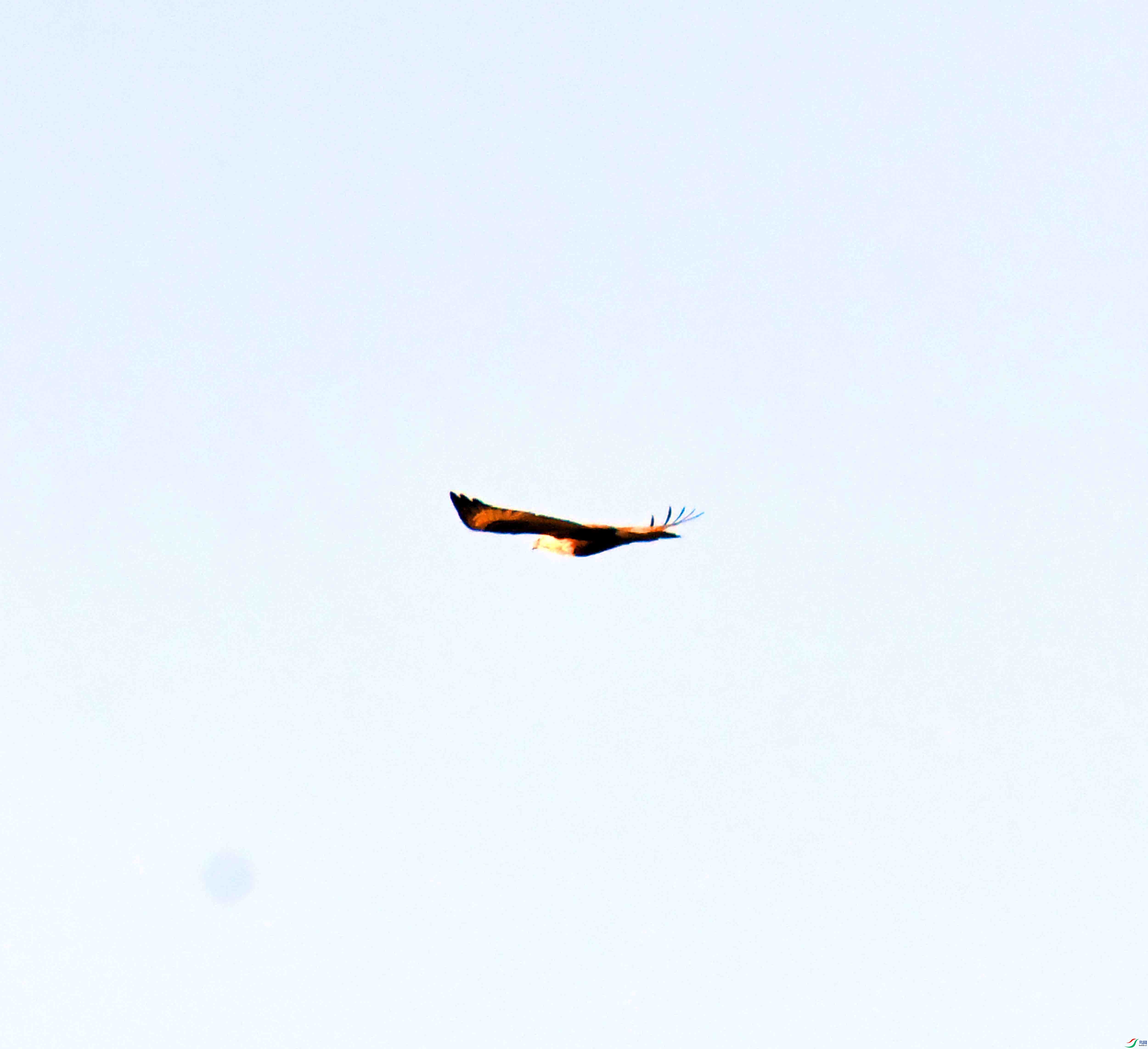 DSC_0346.JPG
