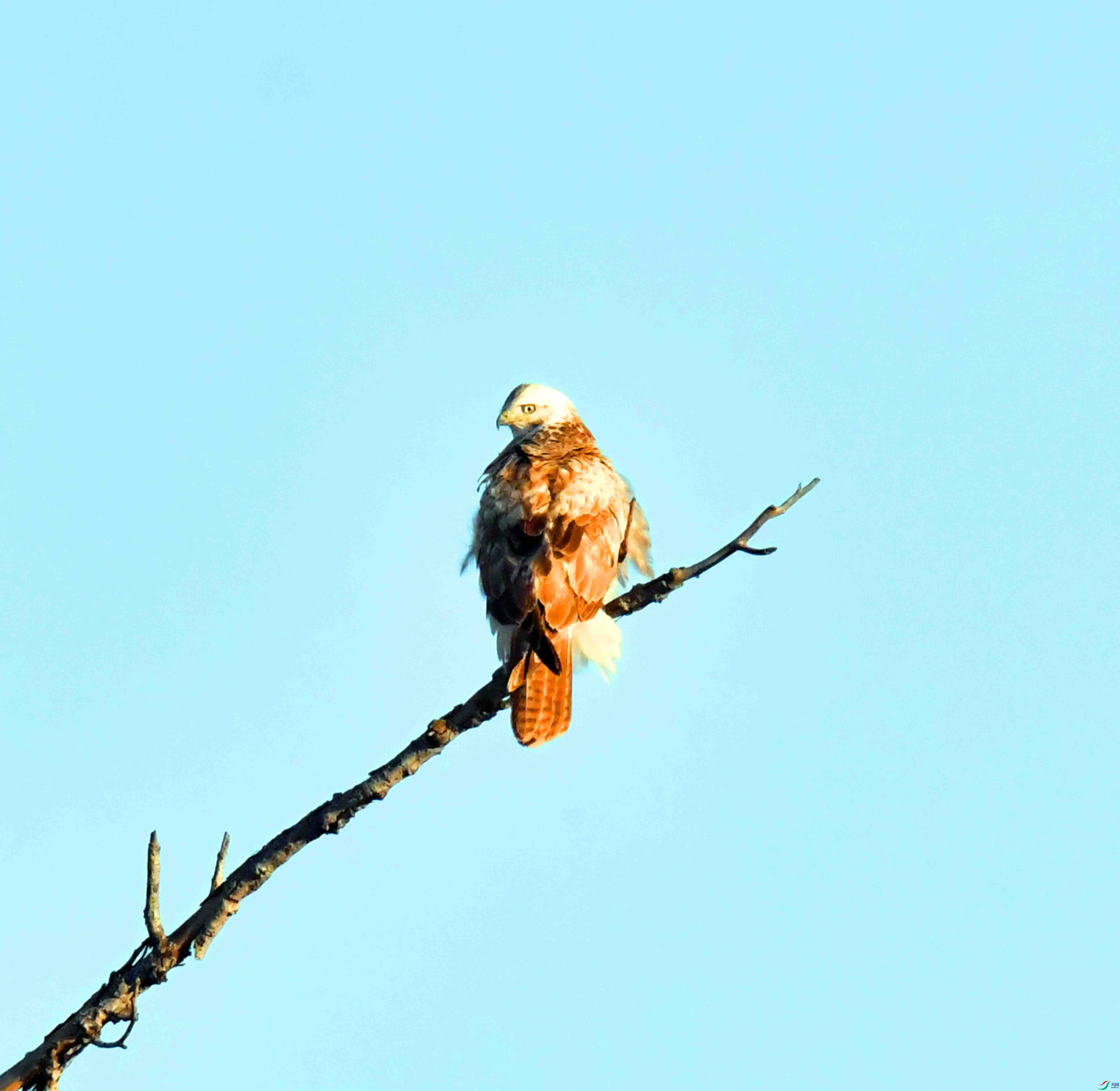 DSC_0351.JPG