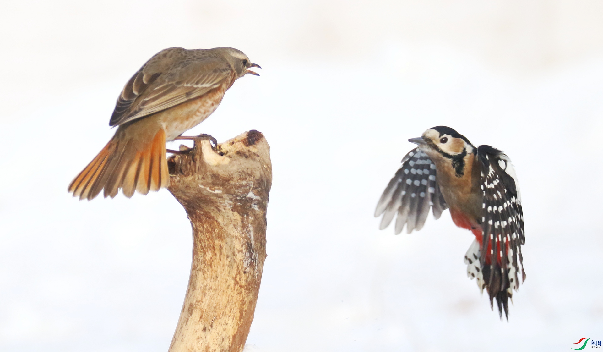 0G1A6967 ���� 2.jpg