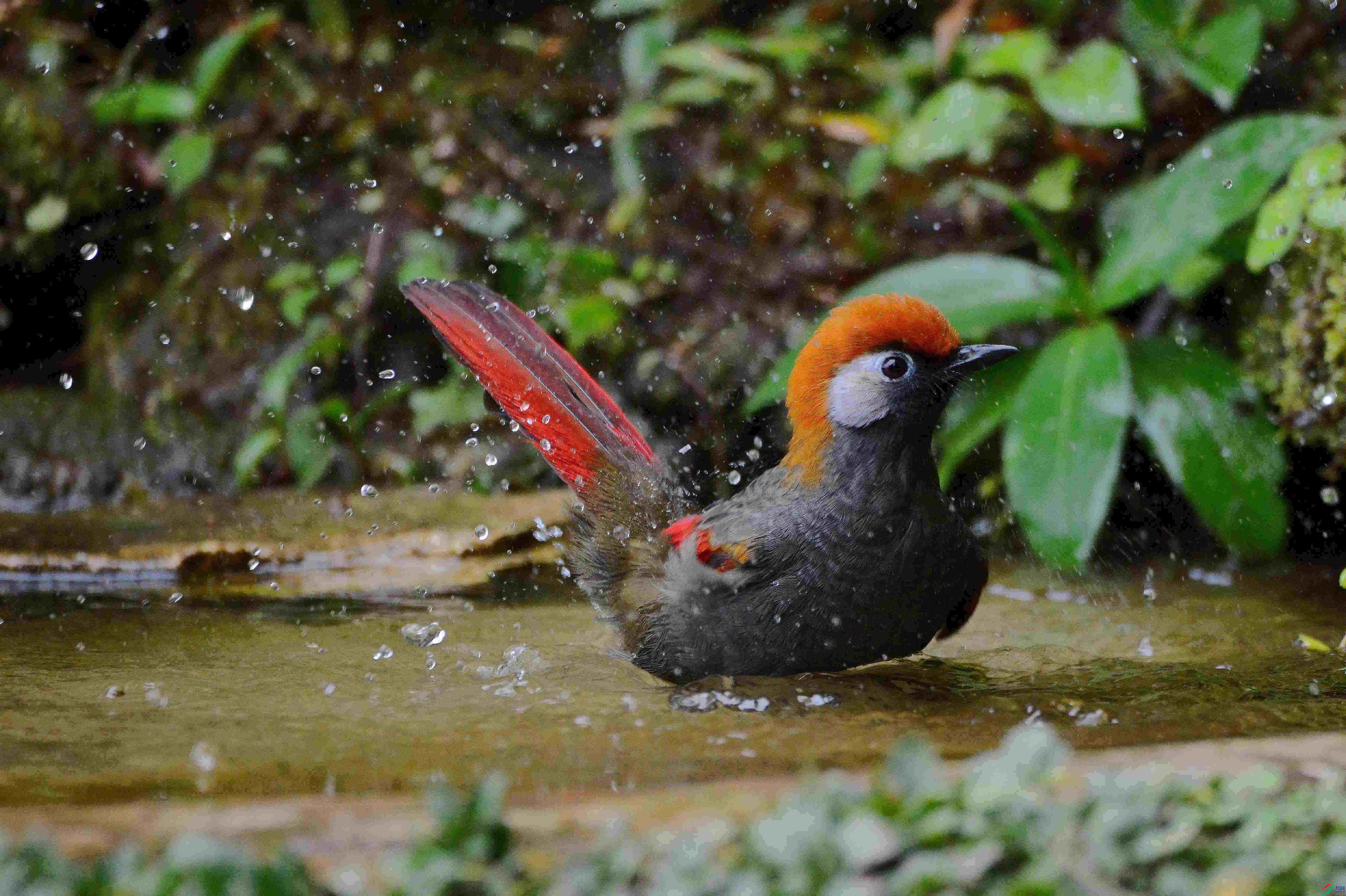 DSC_9749.JPG