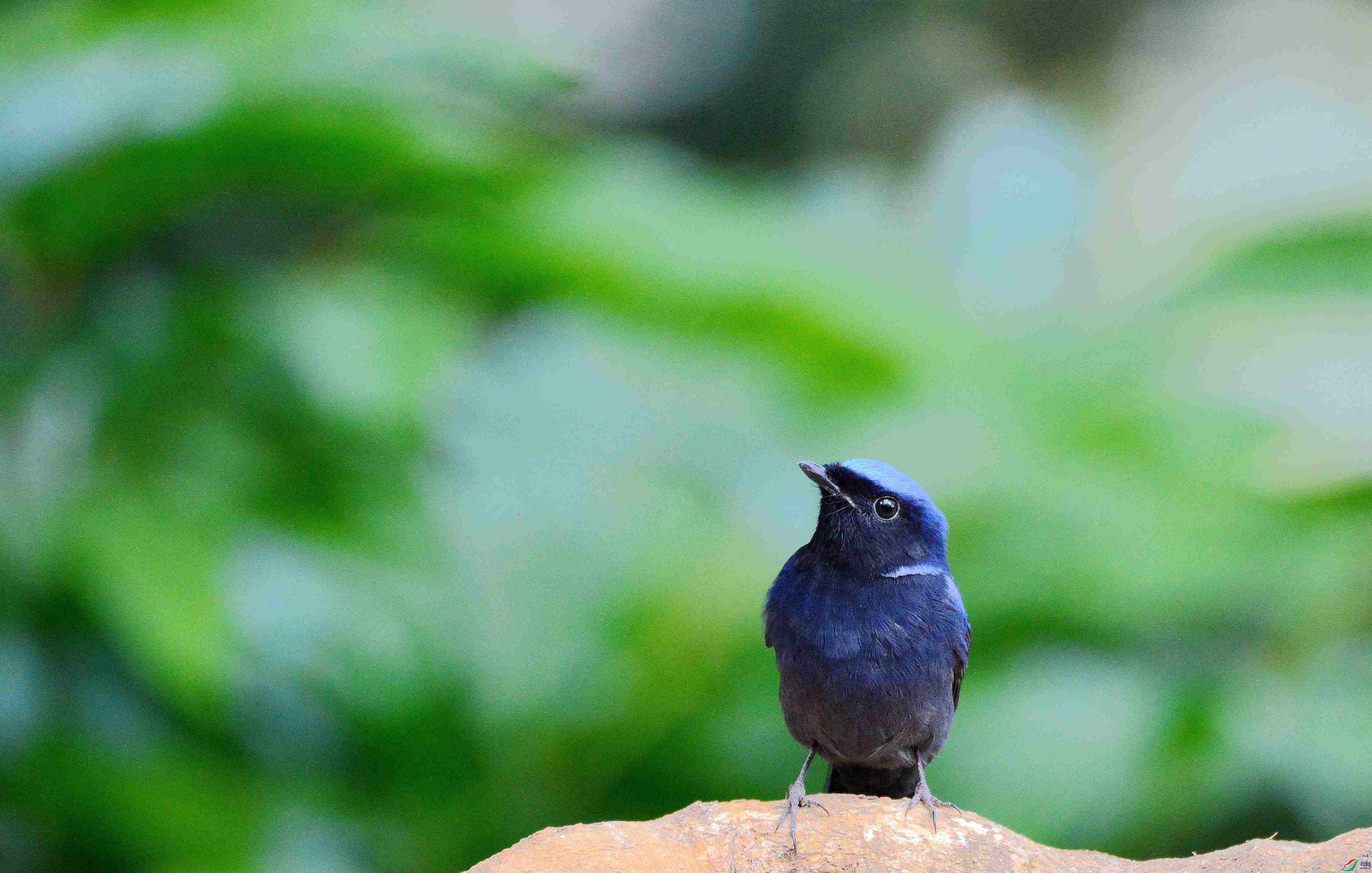 DSC_9865.JPG