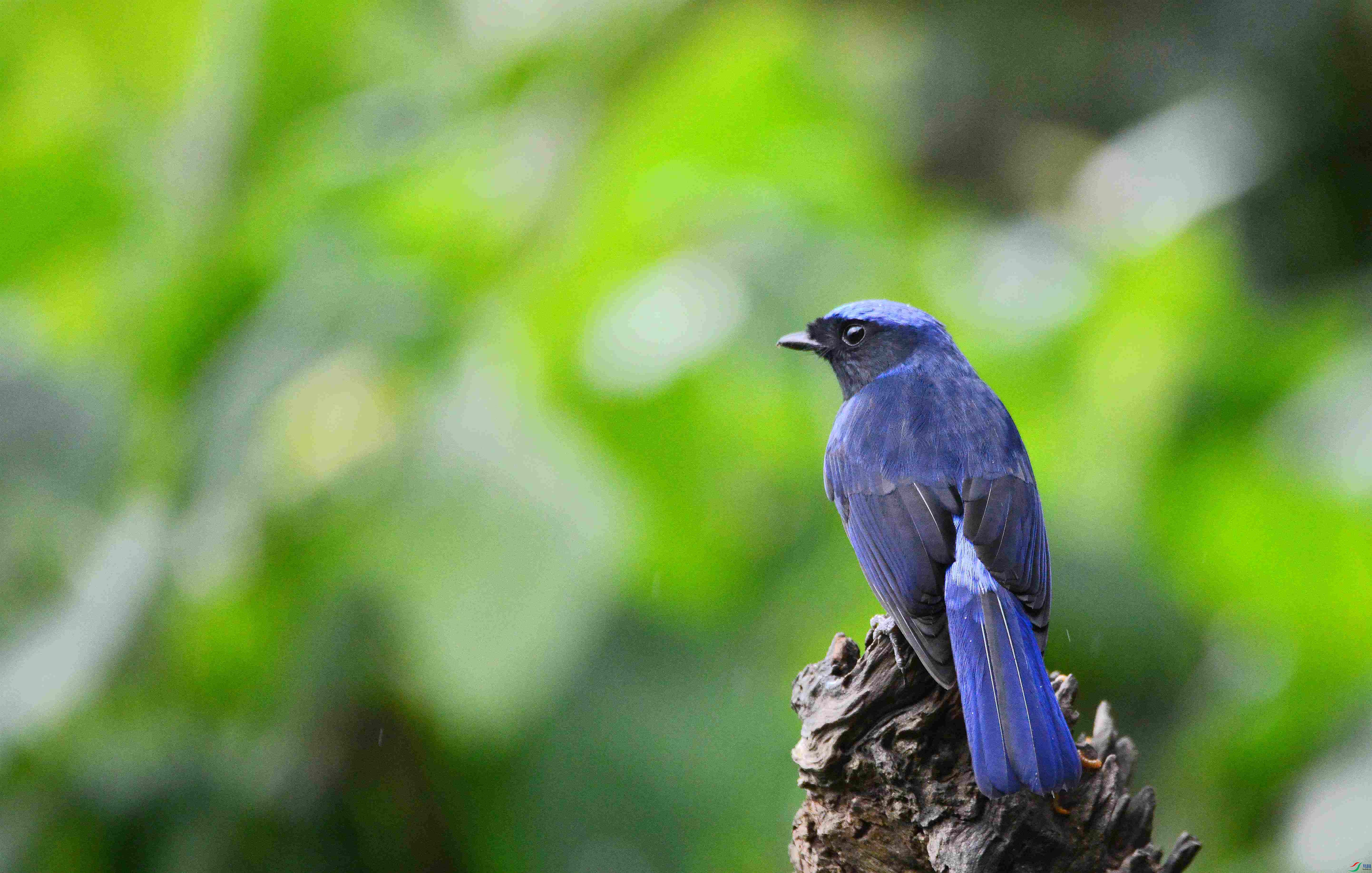 DSC_9261.JPG