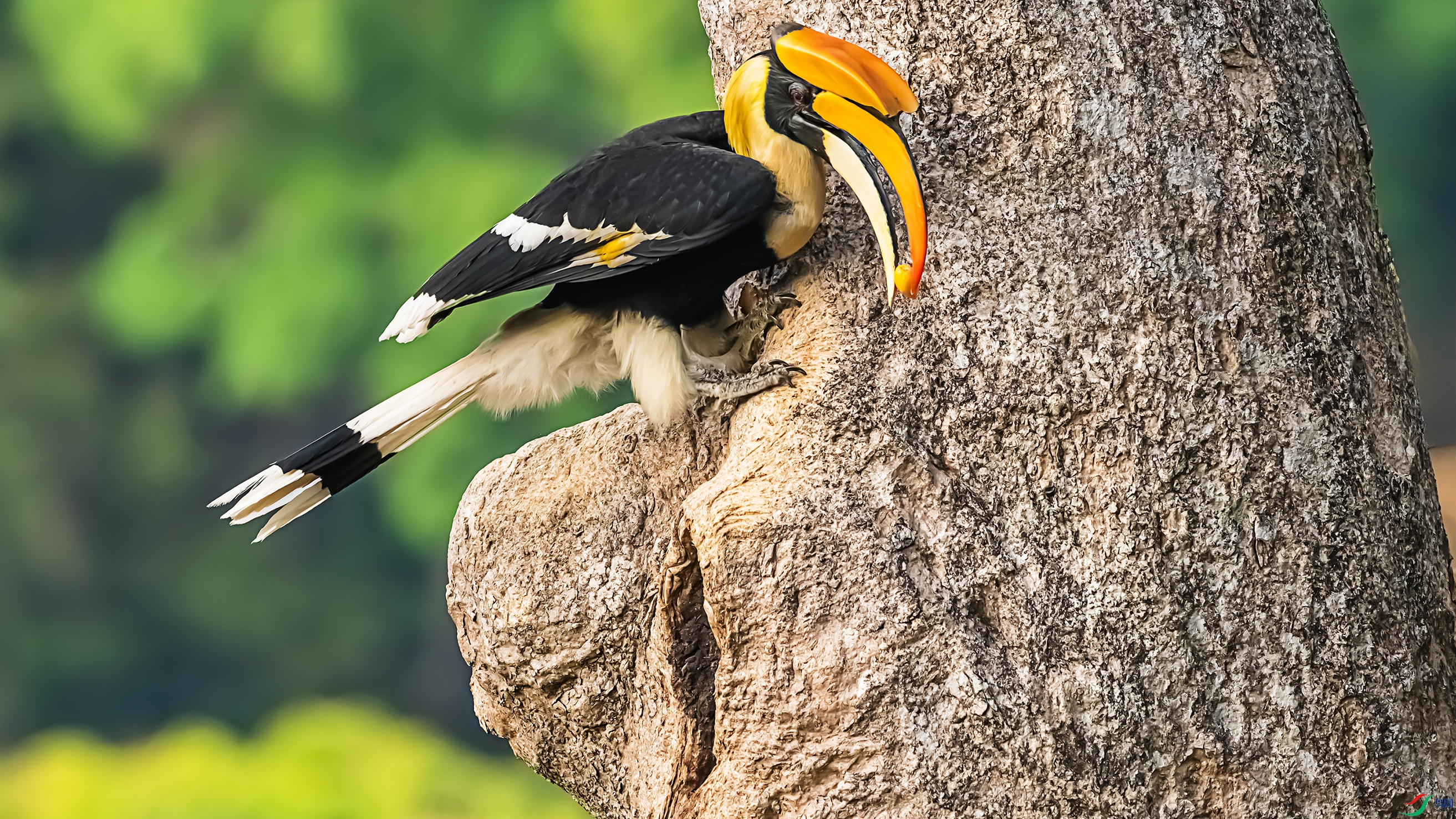 4872-115 ����.jpg