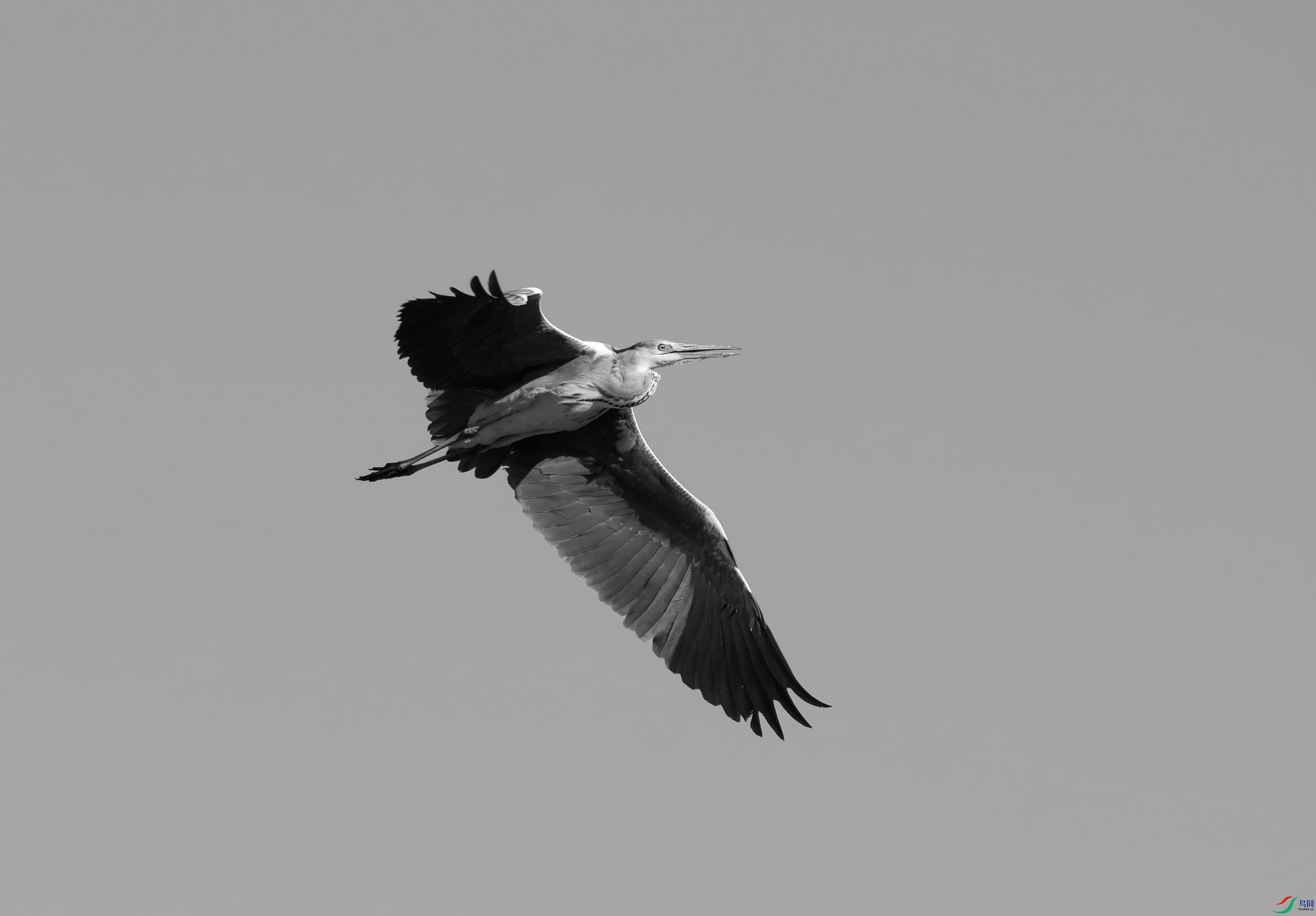 DSC_3388.jpg
