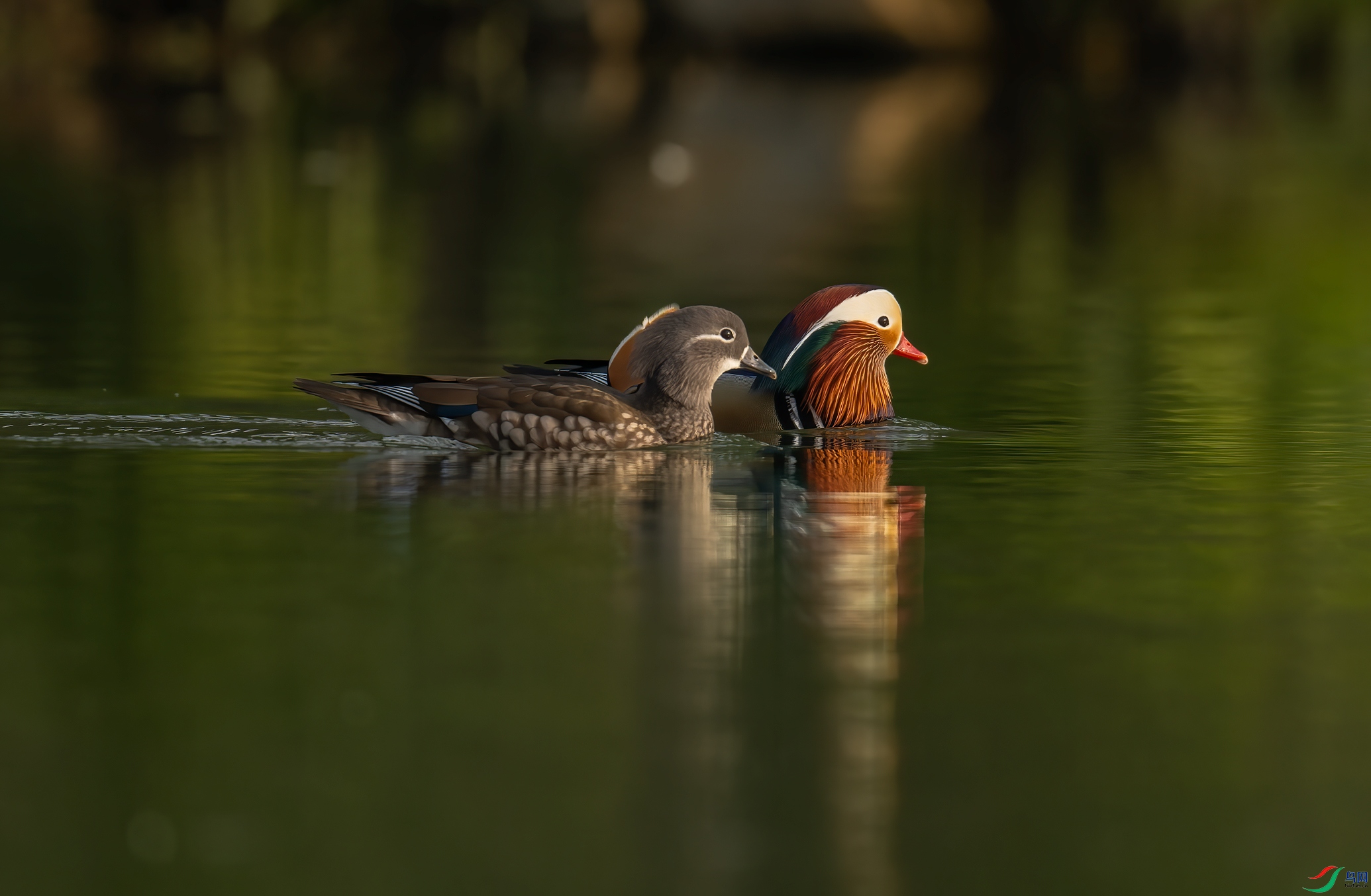 _DSC7792-NEF_DxO_DeepPRIME-1.jpg