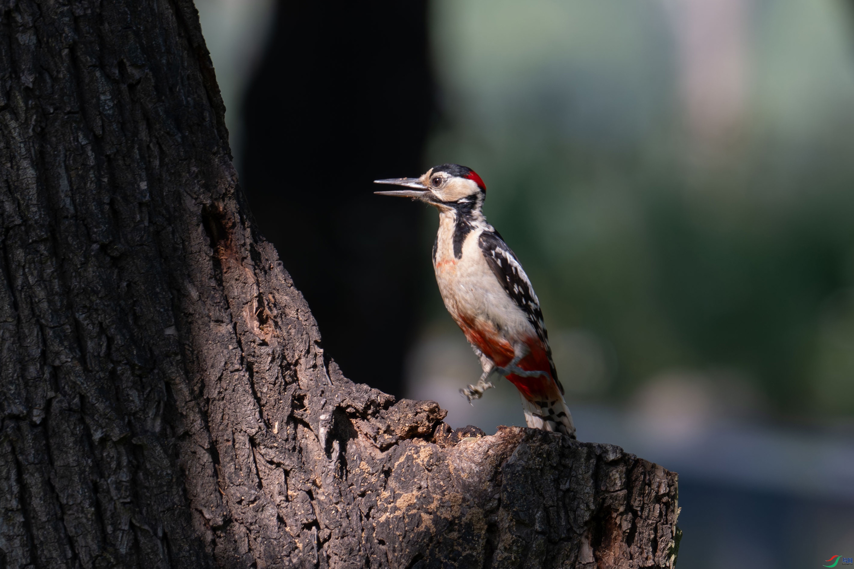 DSC_7671.jpg