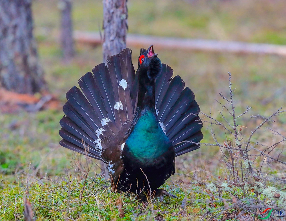 �����ɼ� (5).JPG