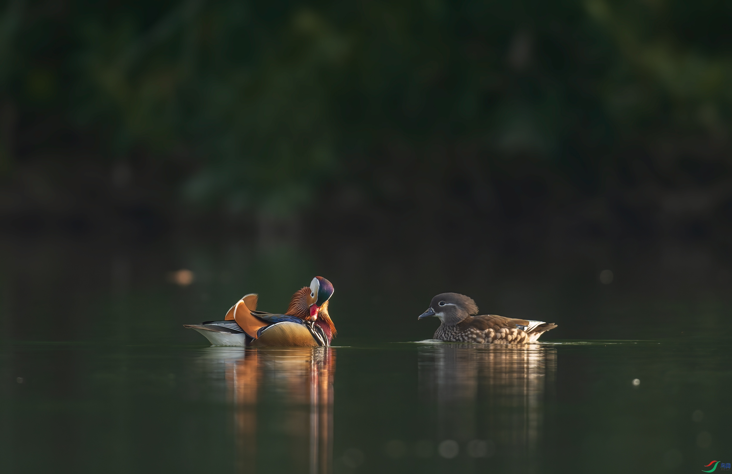 _DSC7200-NEF_DxO_DeepPRIME-1.jpg