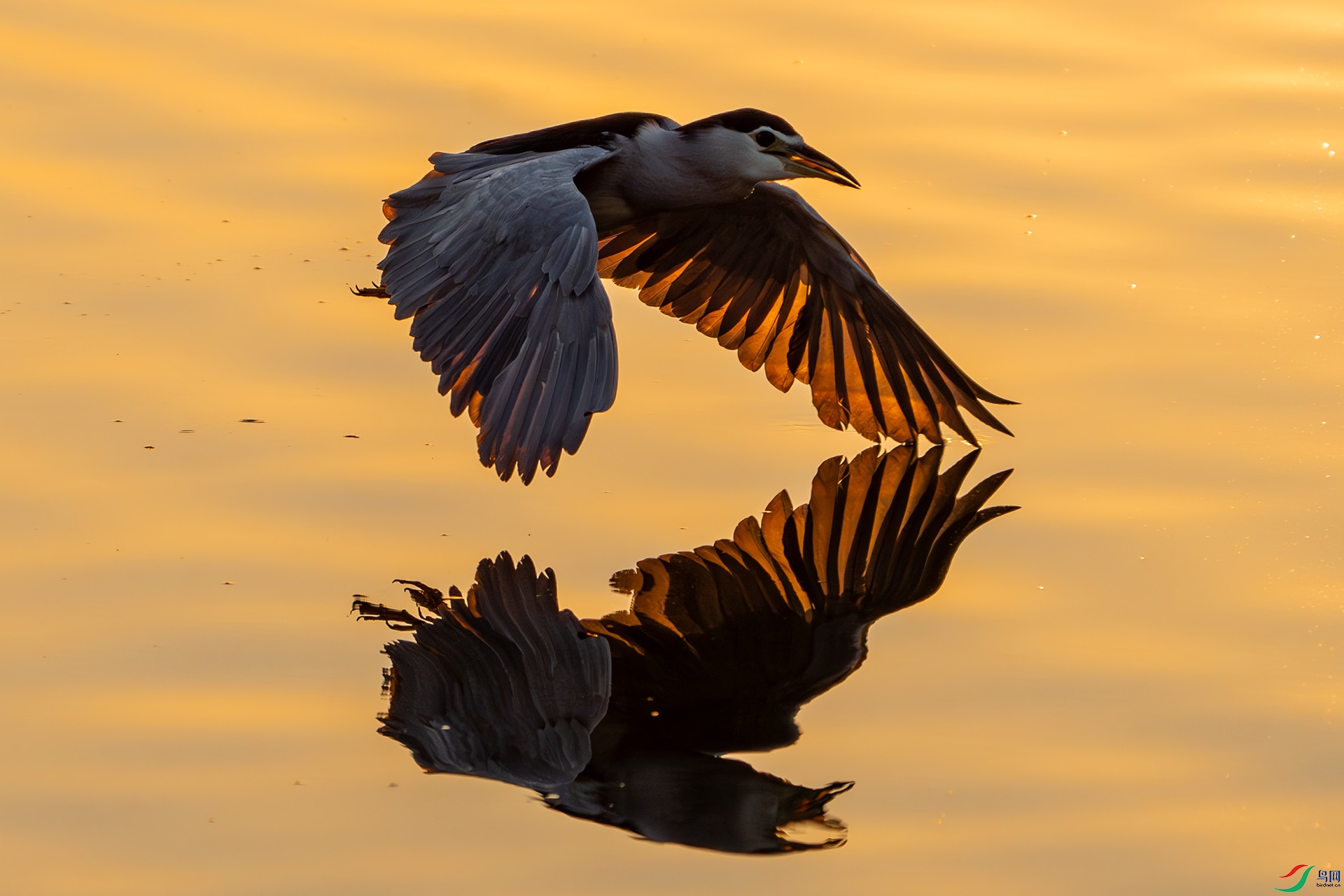 DSC06332-����ǿ-NR ����.jpg