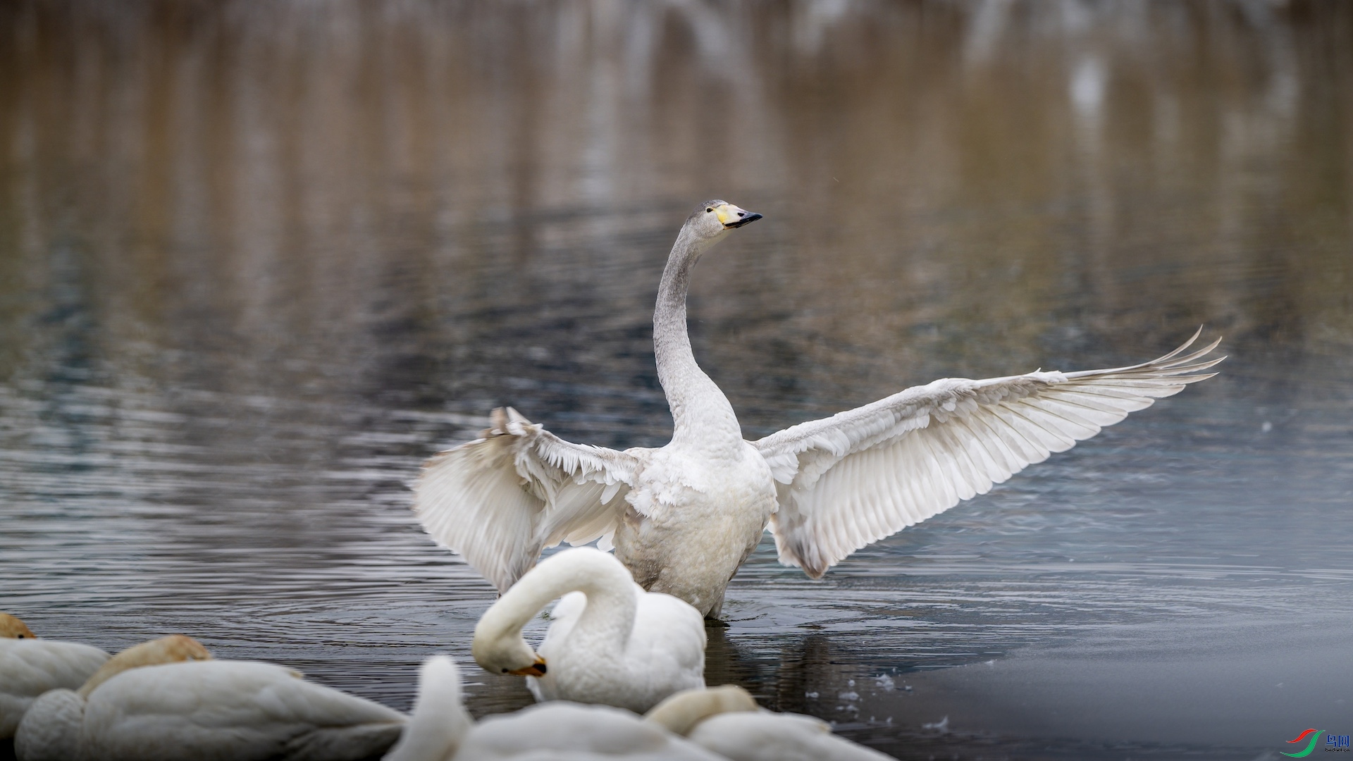 1_DSC4238 ����.jpeg