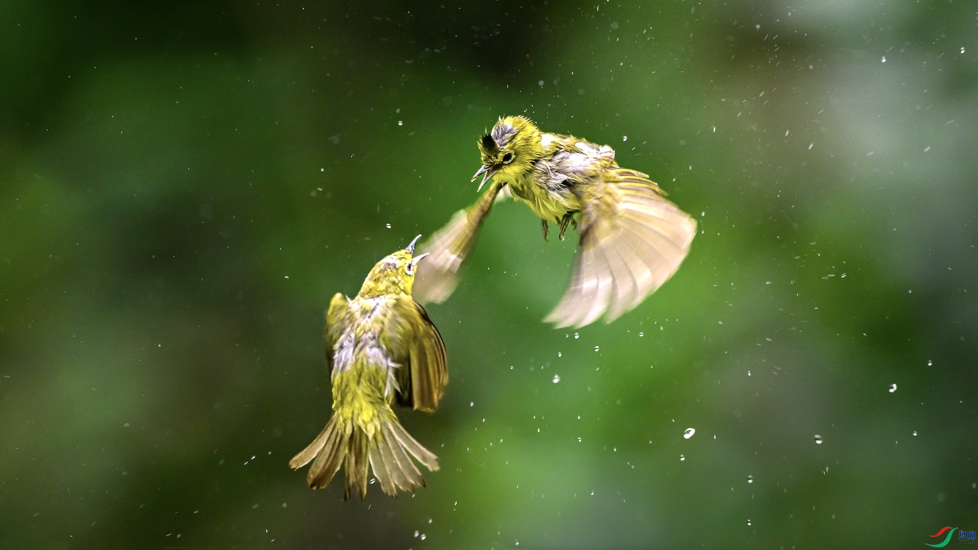 1_XXL0223 ����.jpeg