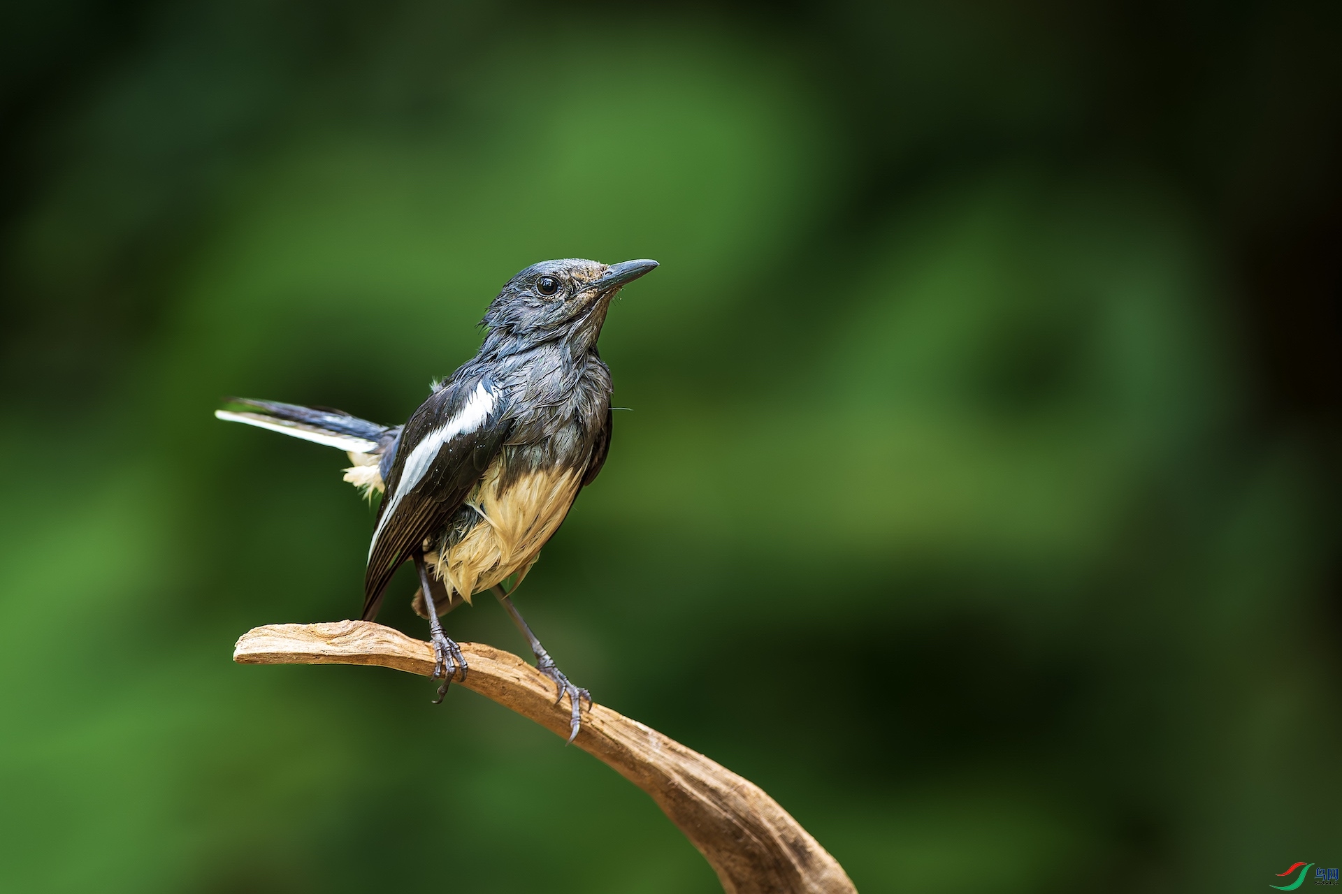 1_XXL7383-����ǿ-NR �����ĸ���2.jpeg