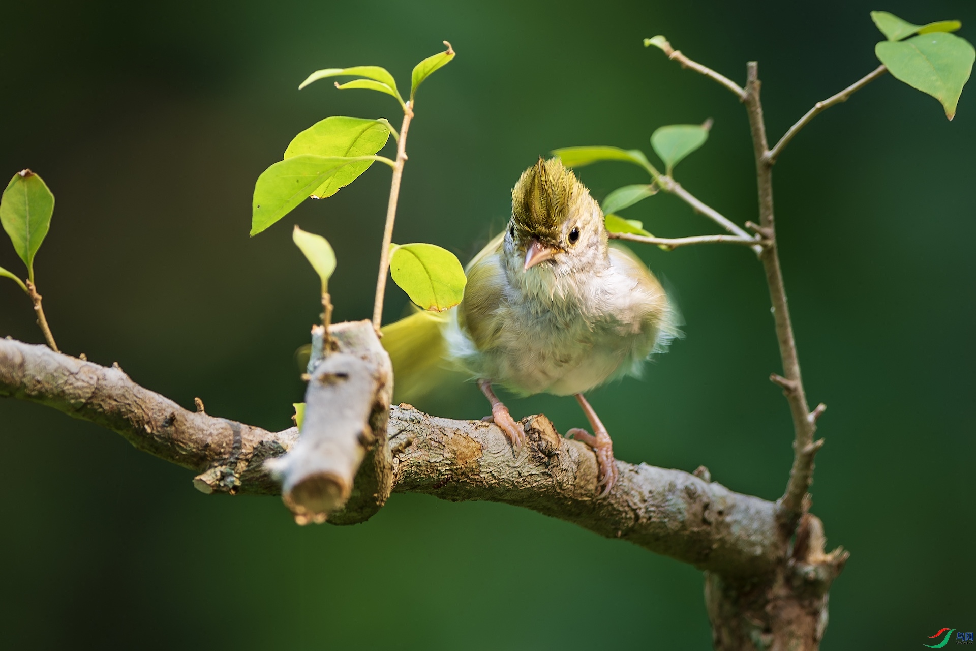 1_XXL7426-����ǿ-NR ����.jpeg