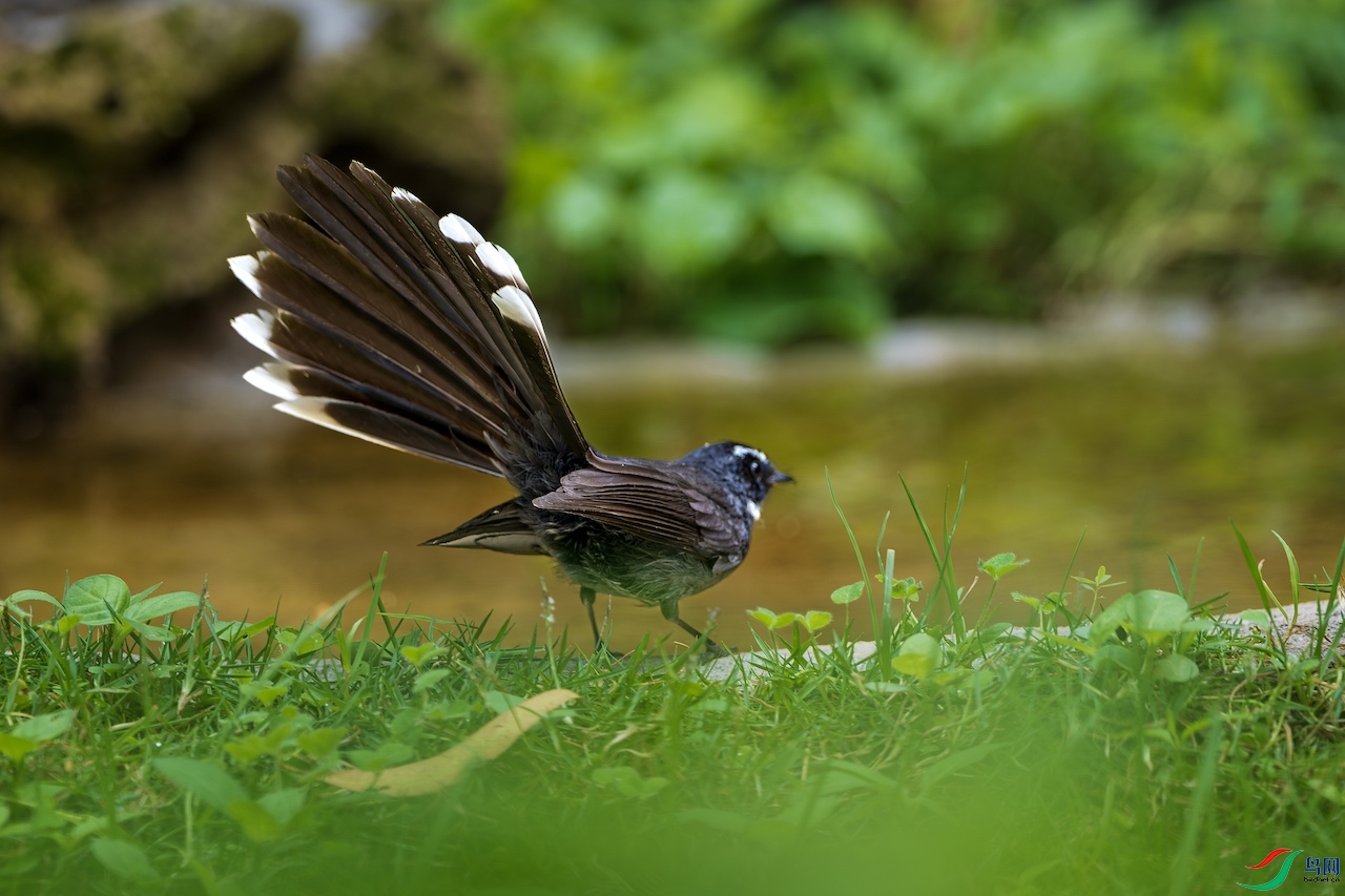 1_XXL7577-����ǿ-NR ����.jpeg