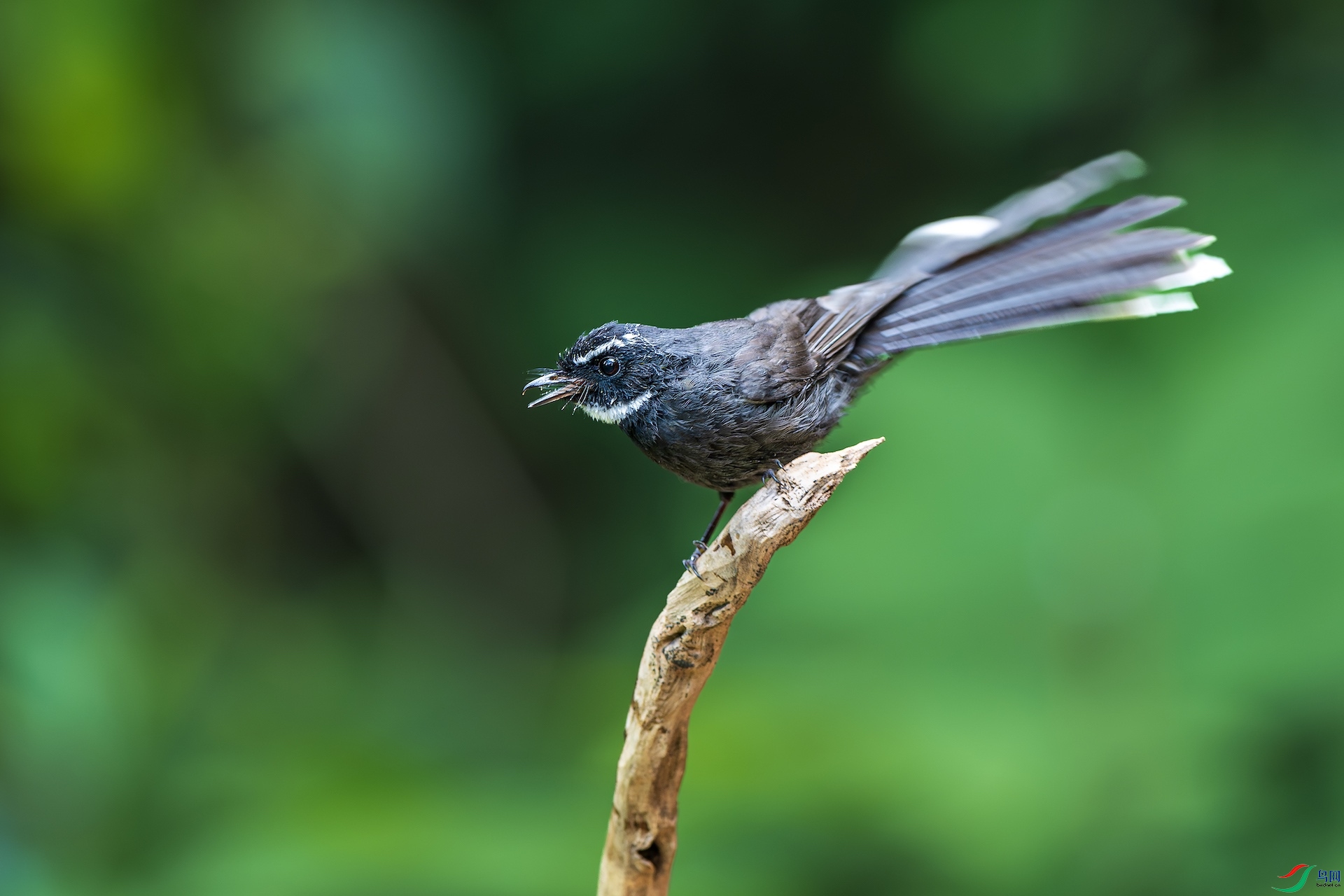 1_XXL7610-����ǿ-NR ����.jpeg