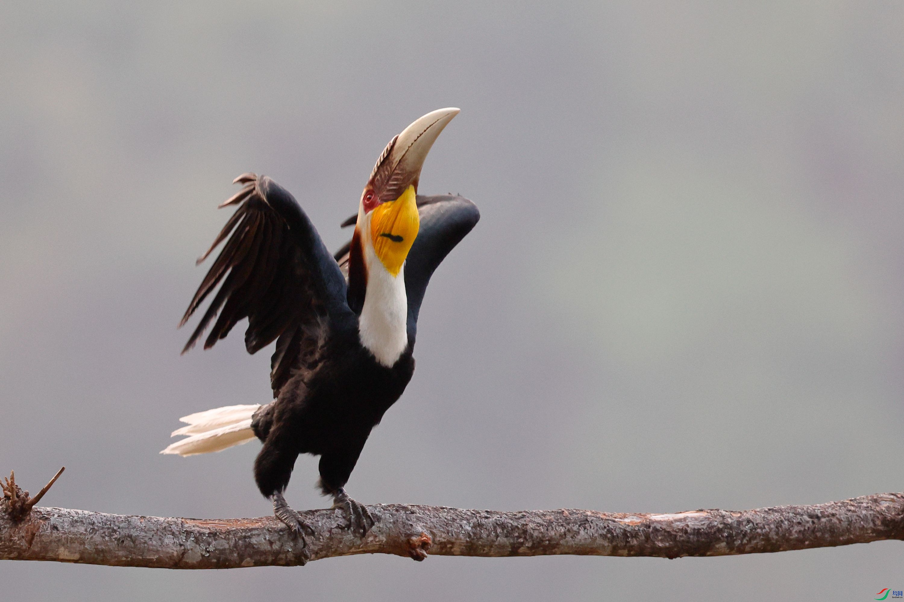 ����Ϭ��