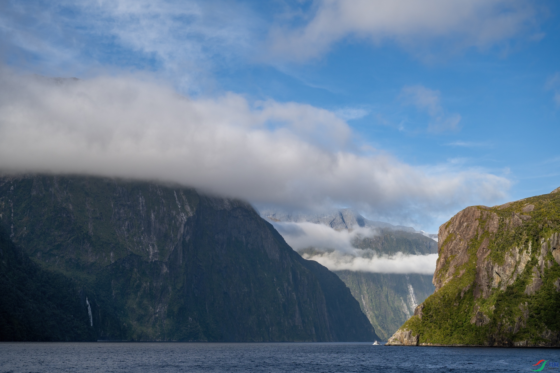 DSC_8141-1.jpg