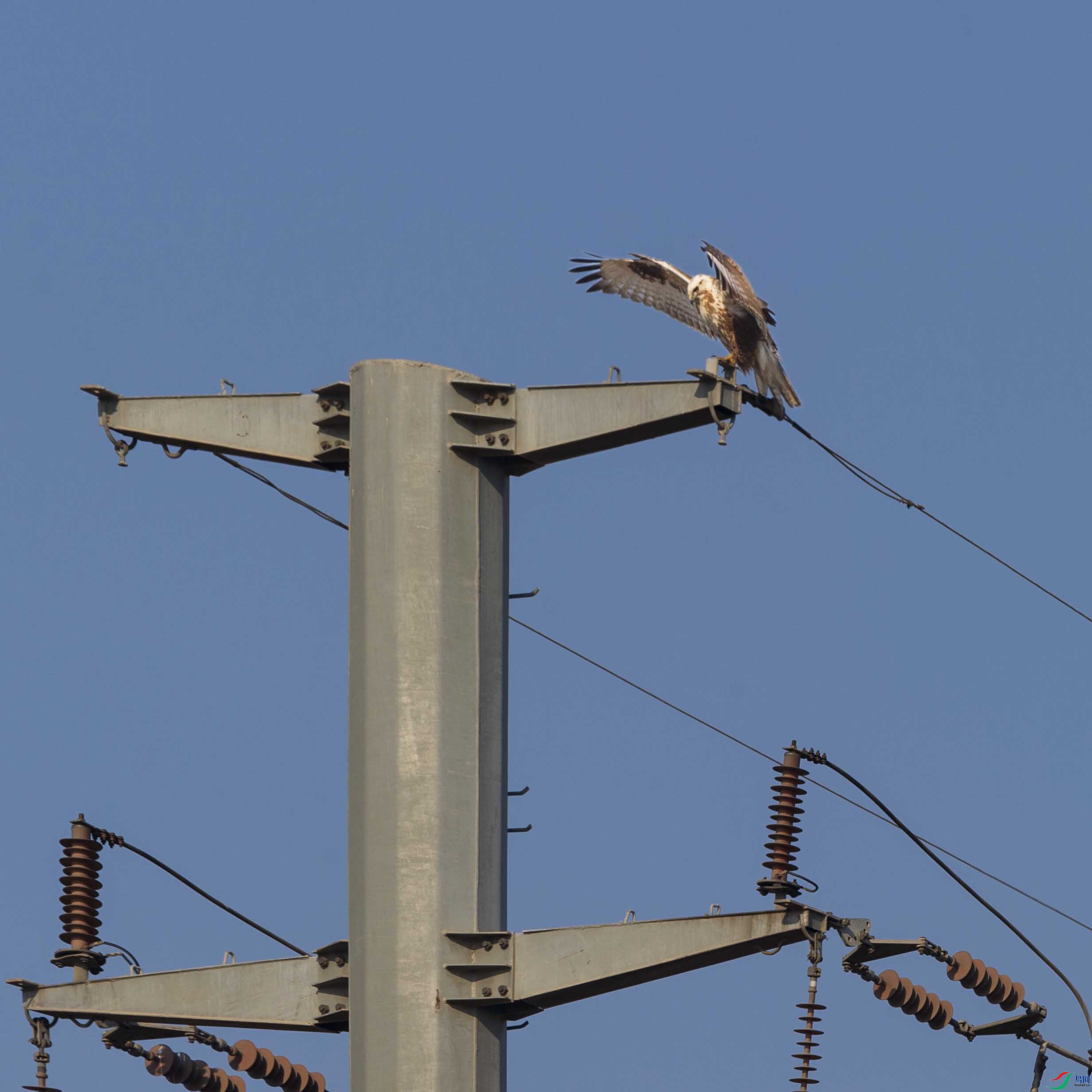 DSC_7221 ����.jpg