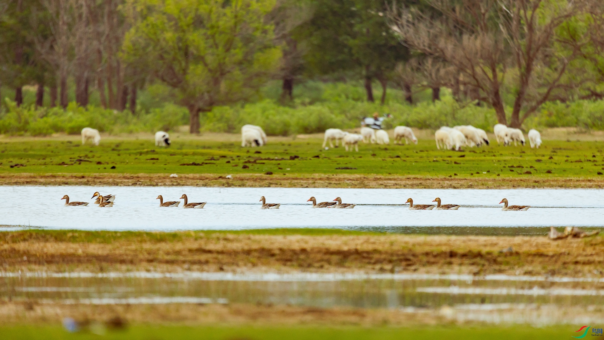 ���;���