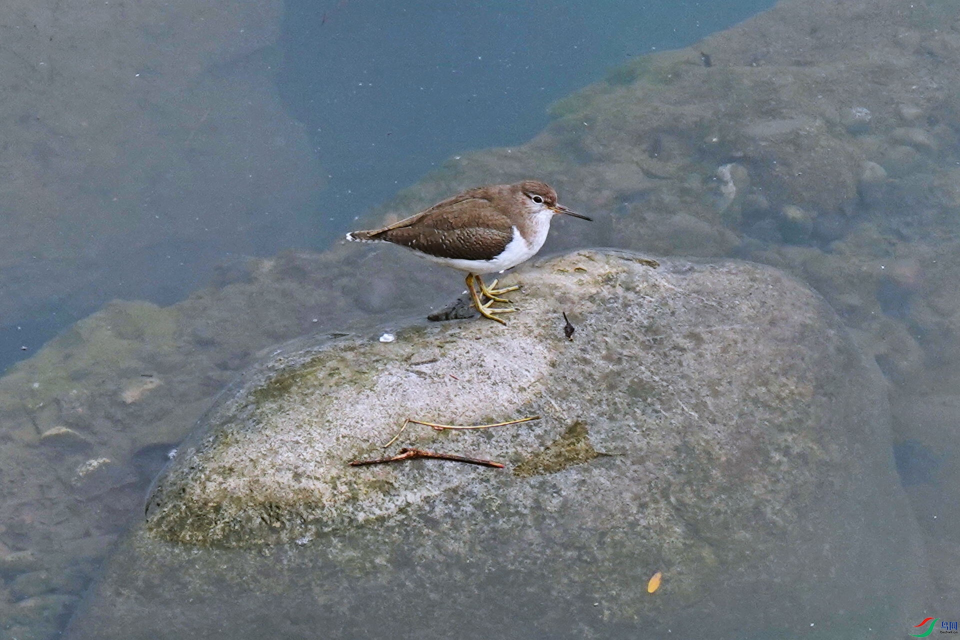 DSC08280vz.jpg