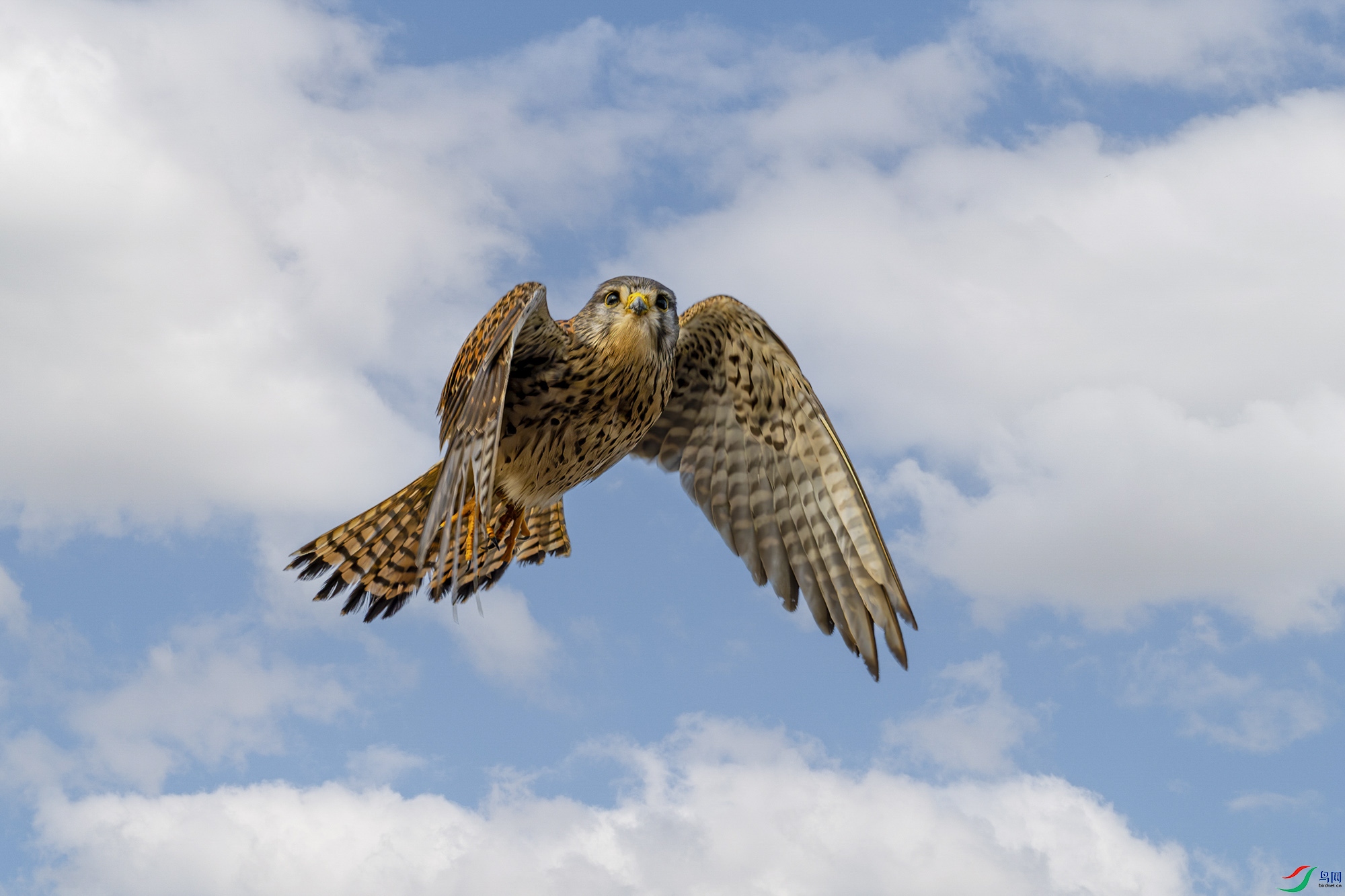 _DSC3960bbbb2233.jpg