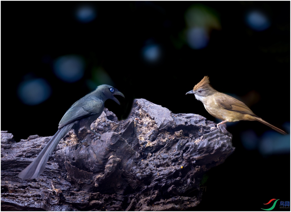 1T1A7471-����ǿ 2.jpg