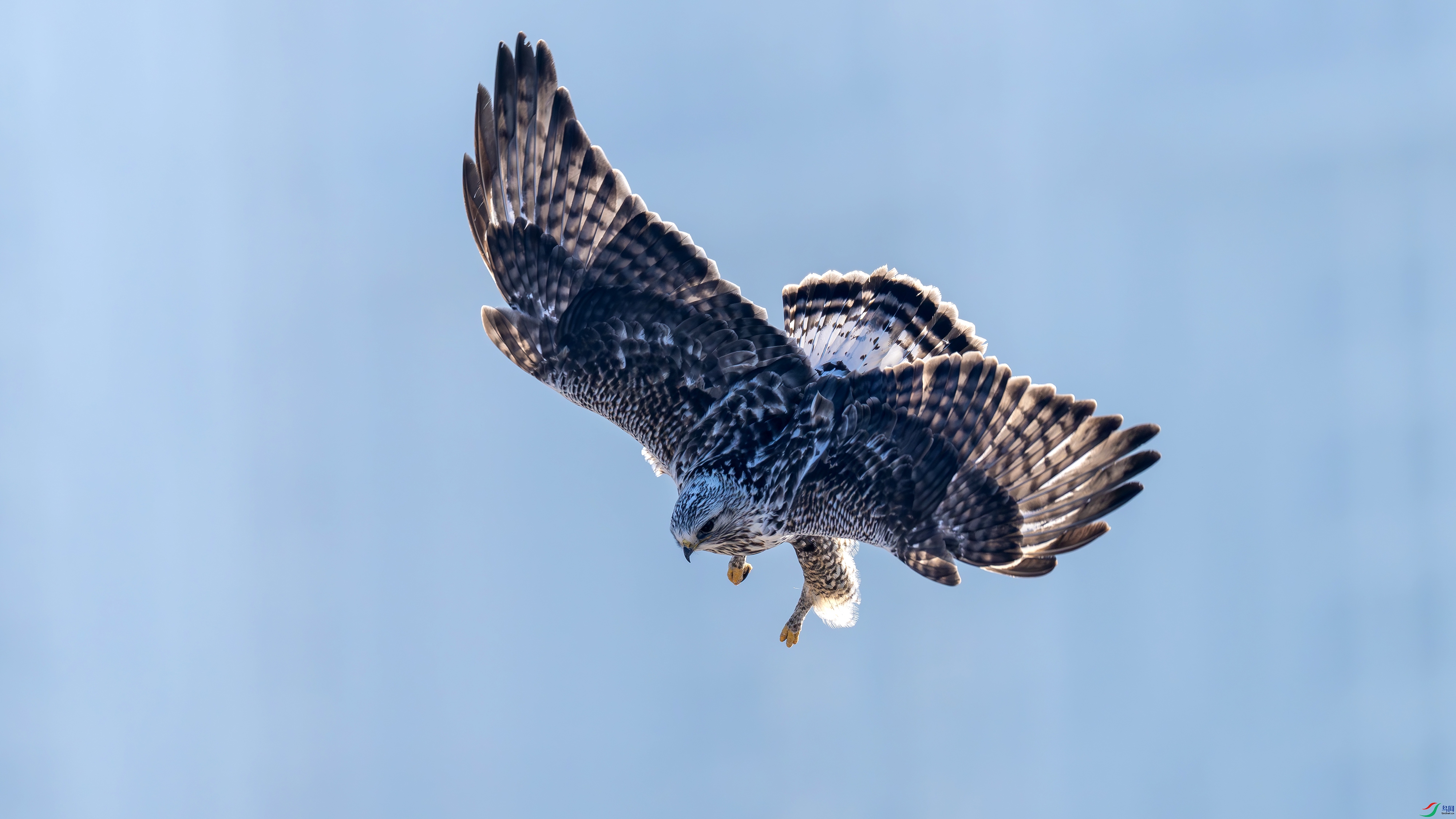 DSC00044- ����.jpg