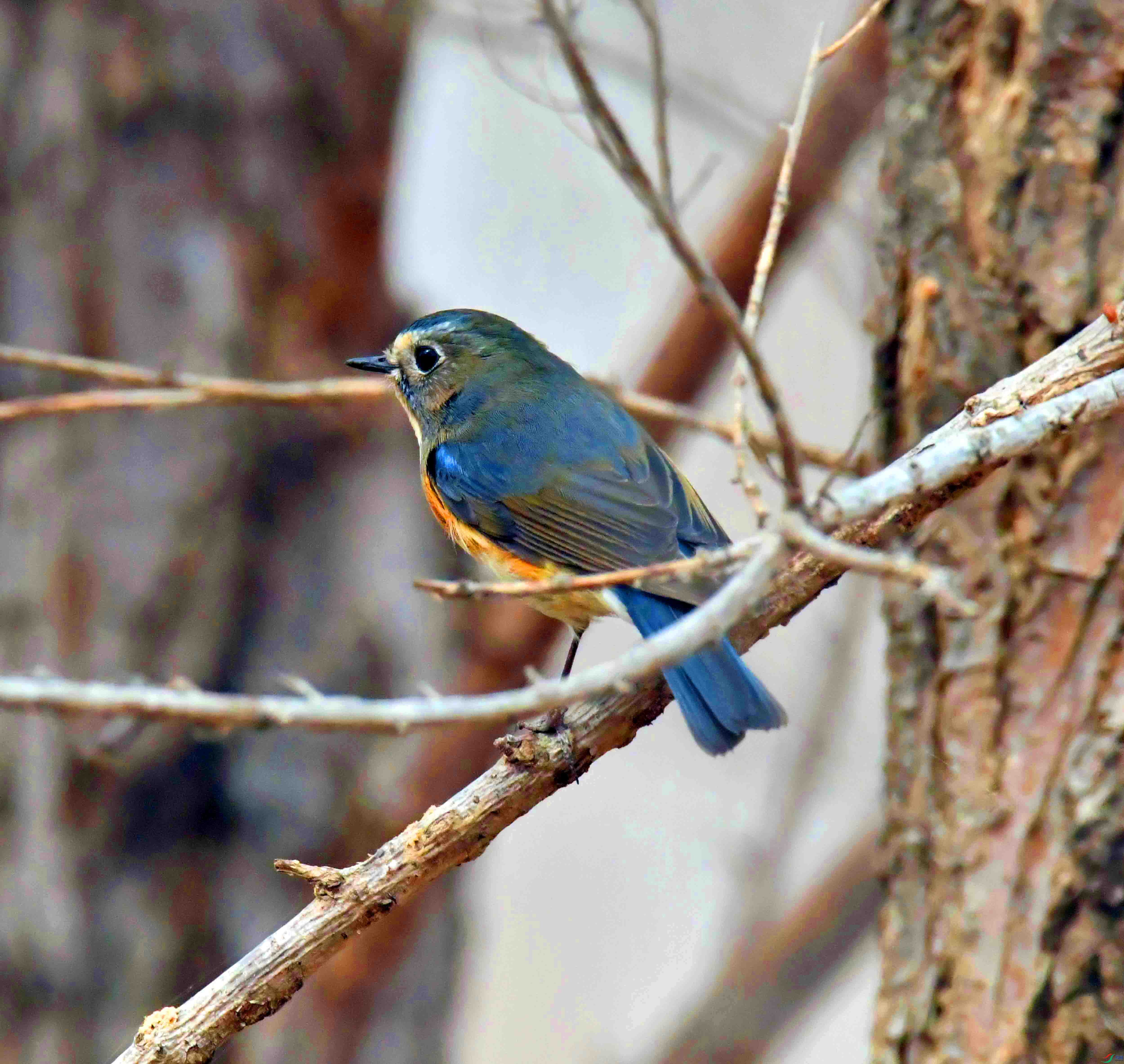 DSC_3539.JPG