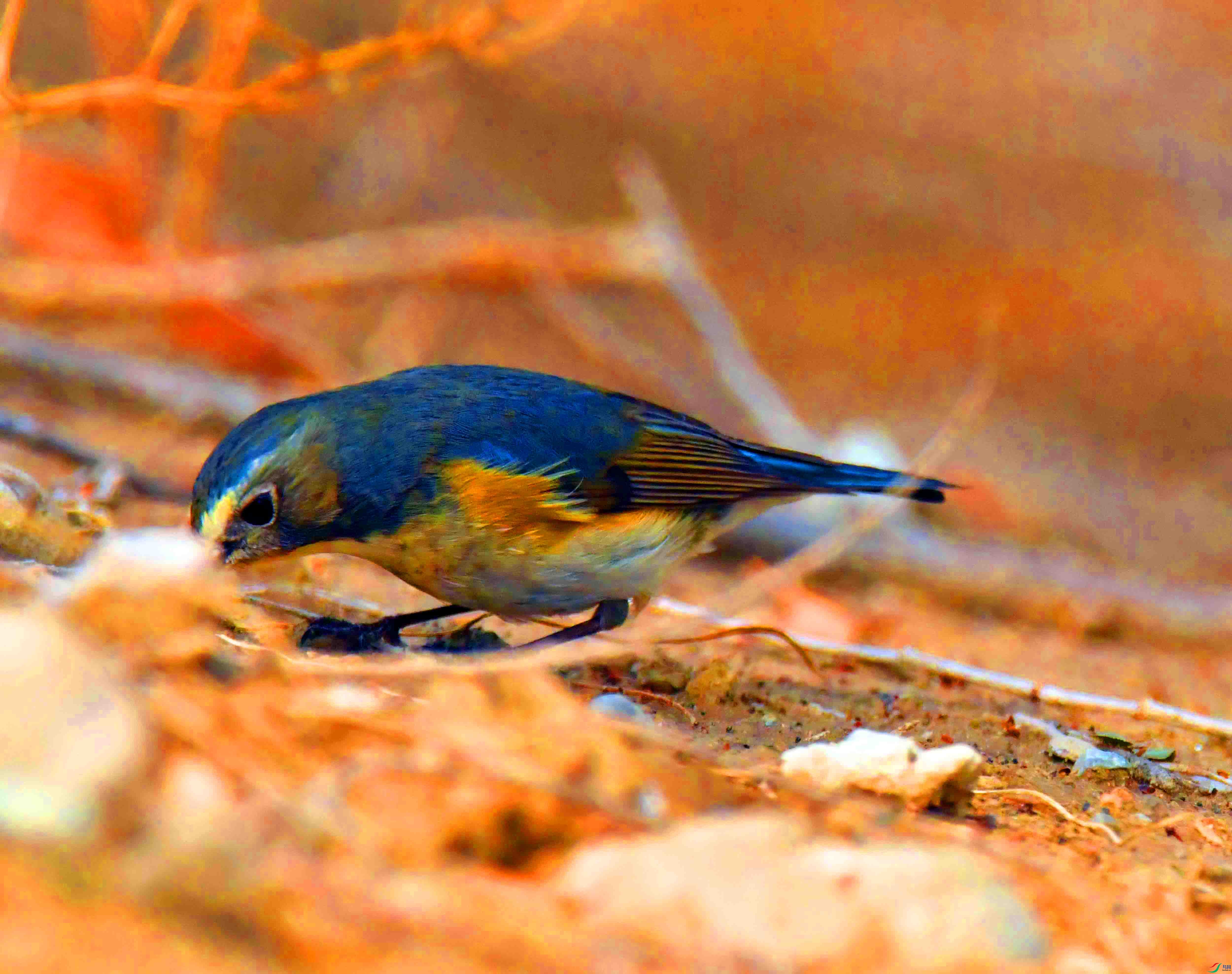 DSC_3821.JPG